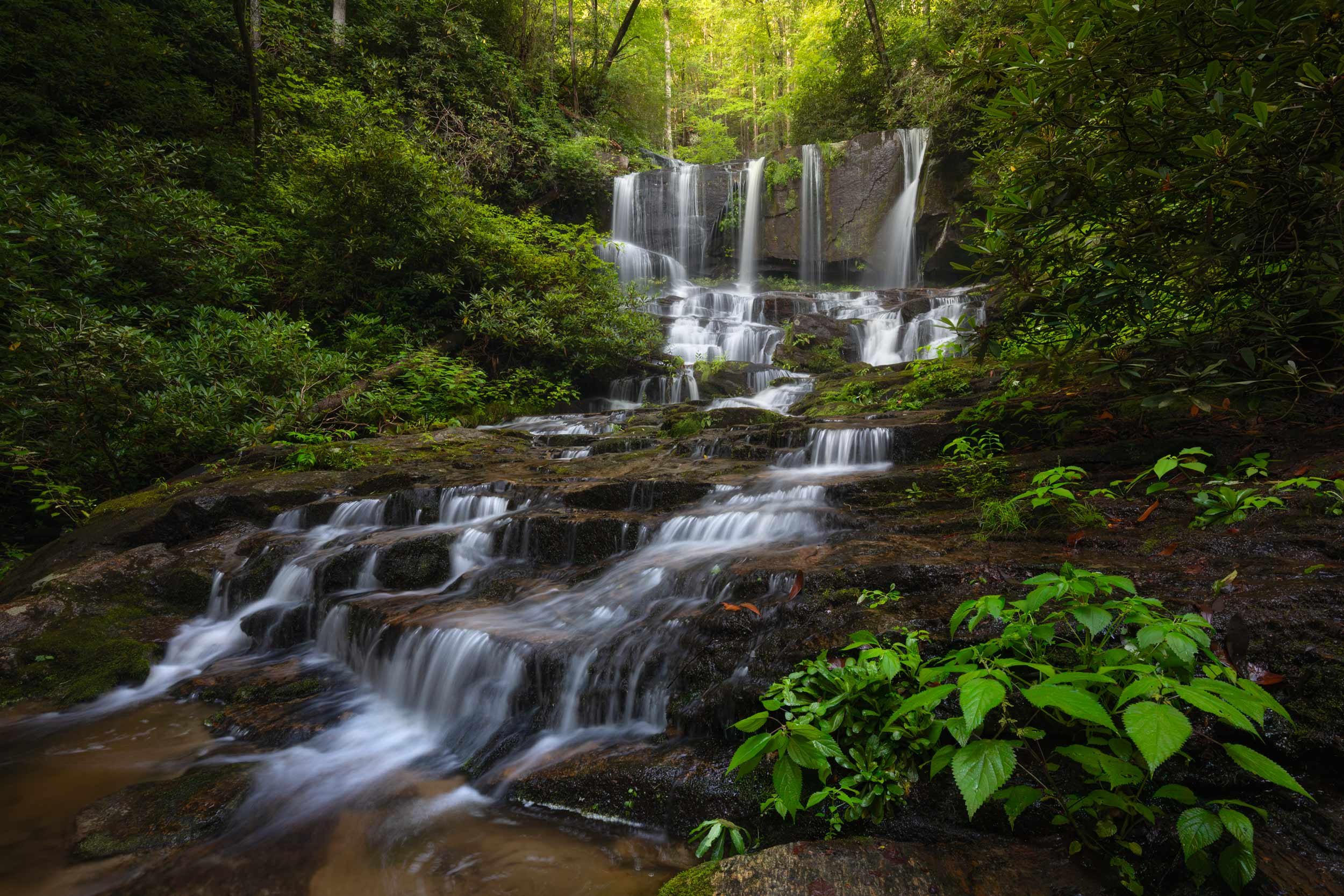 Virginia Hawkins Falls 