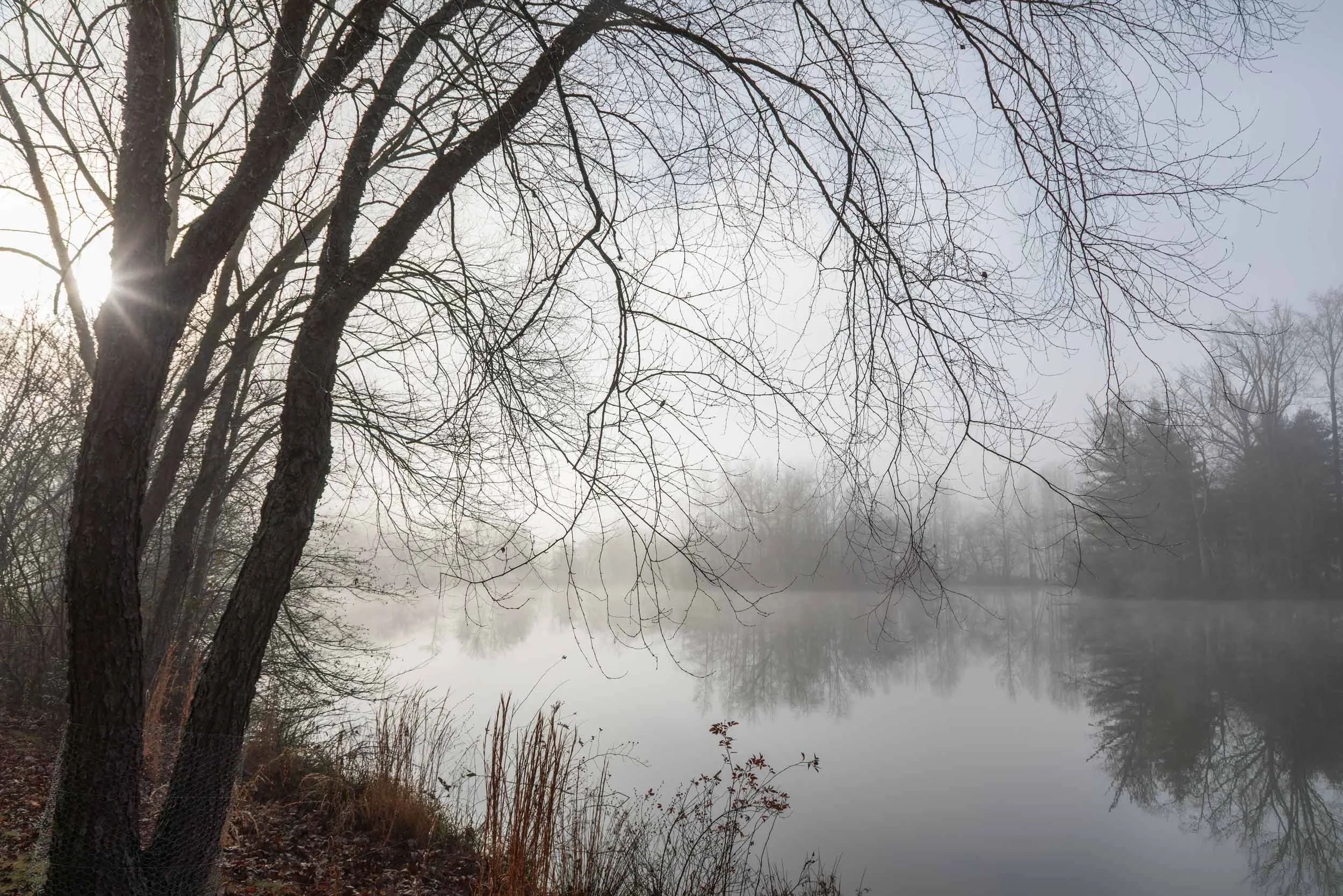 Misty Sunrise at the Lagoon