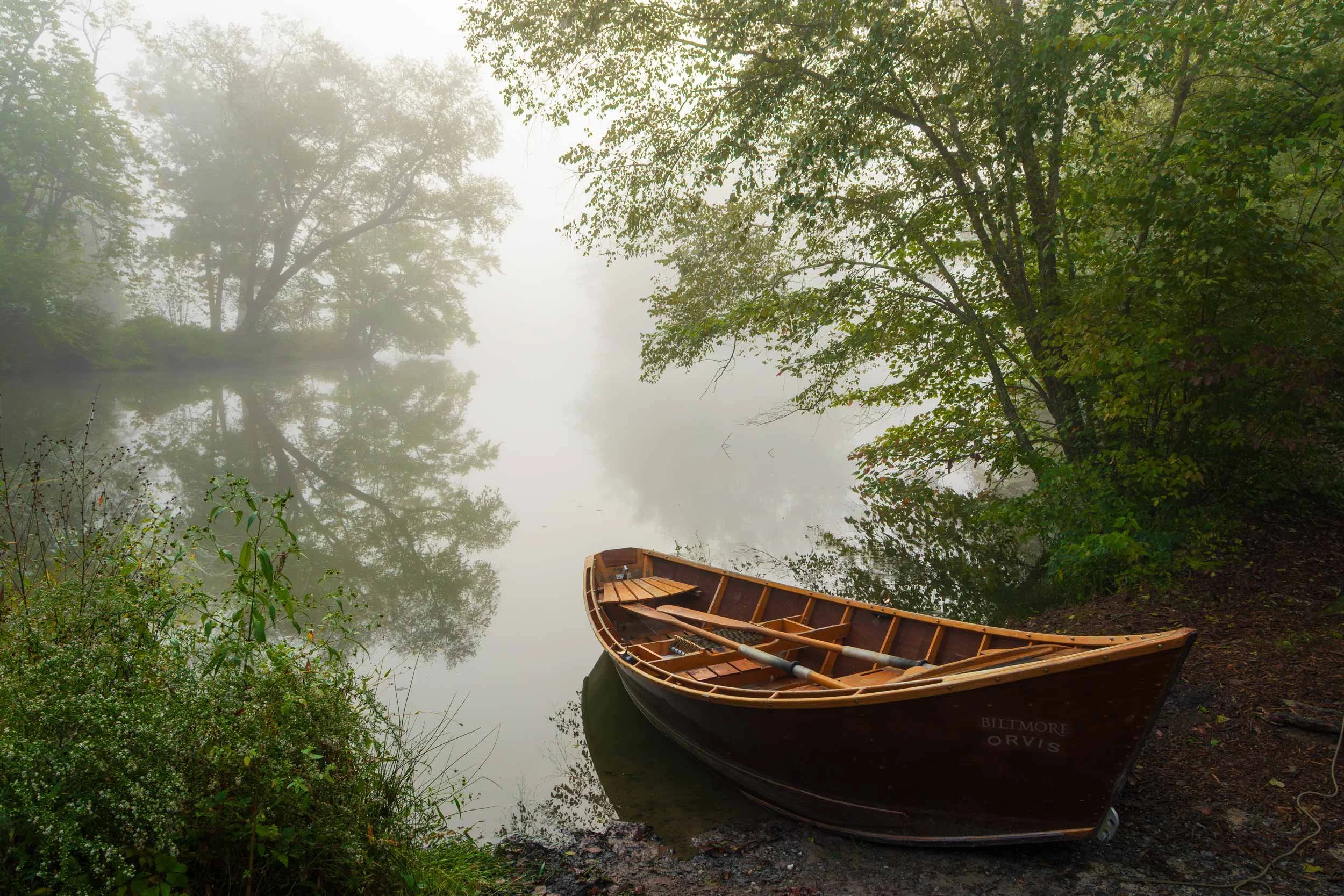 The Misty Edge of the Lagoon