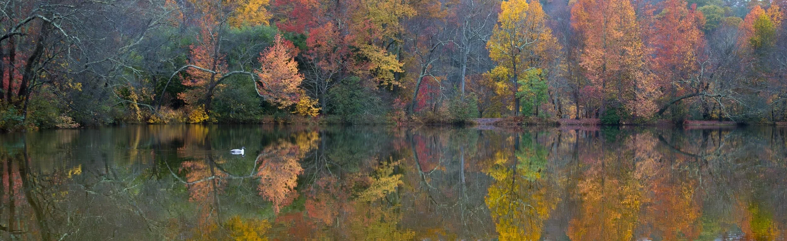 Fall Dream at the Lagoon
