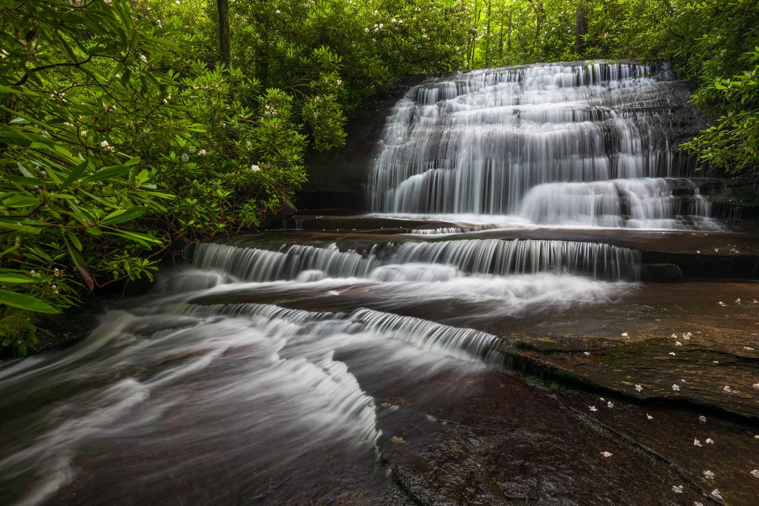 Grogan Creek Falls N.C.