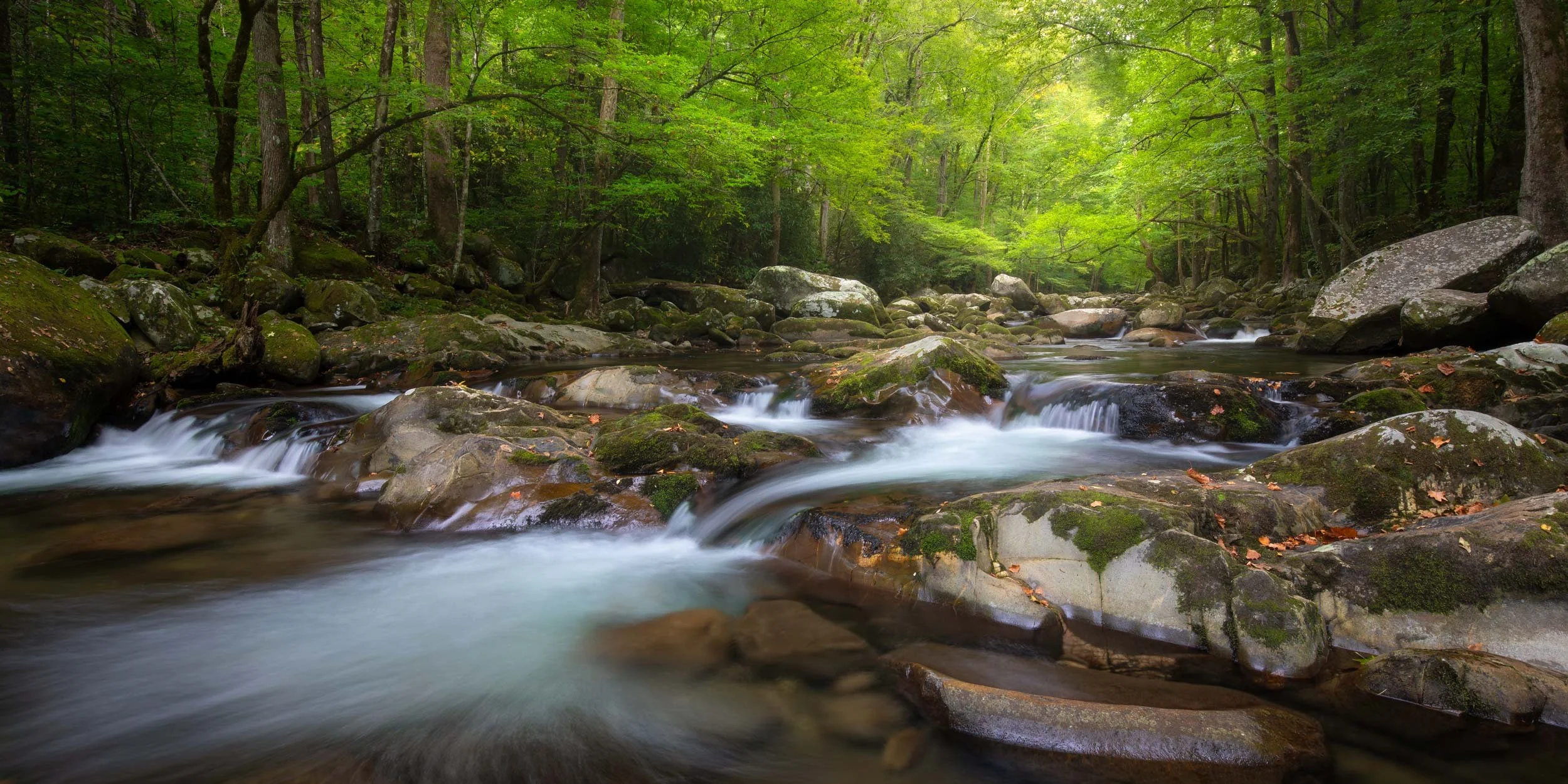 Big Creek Campground, GSMNP