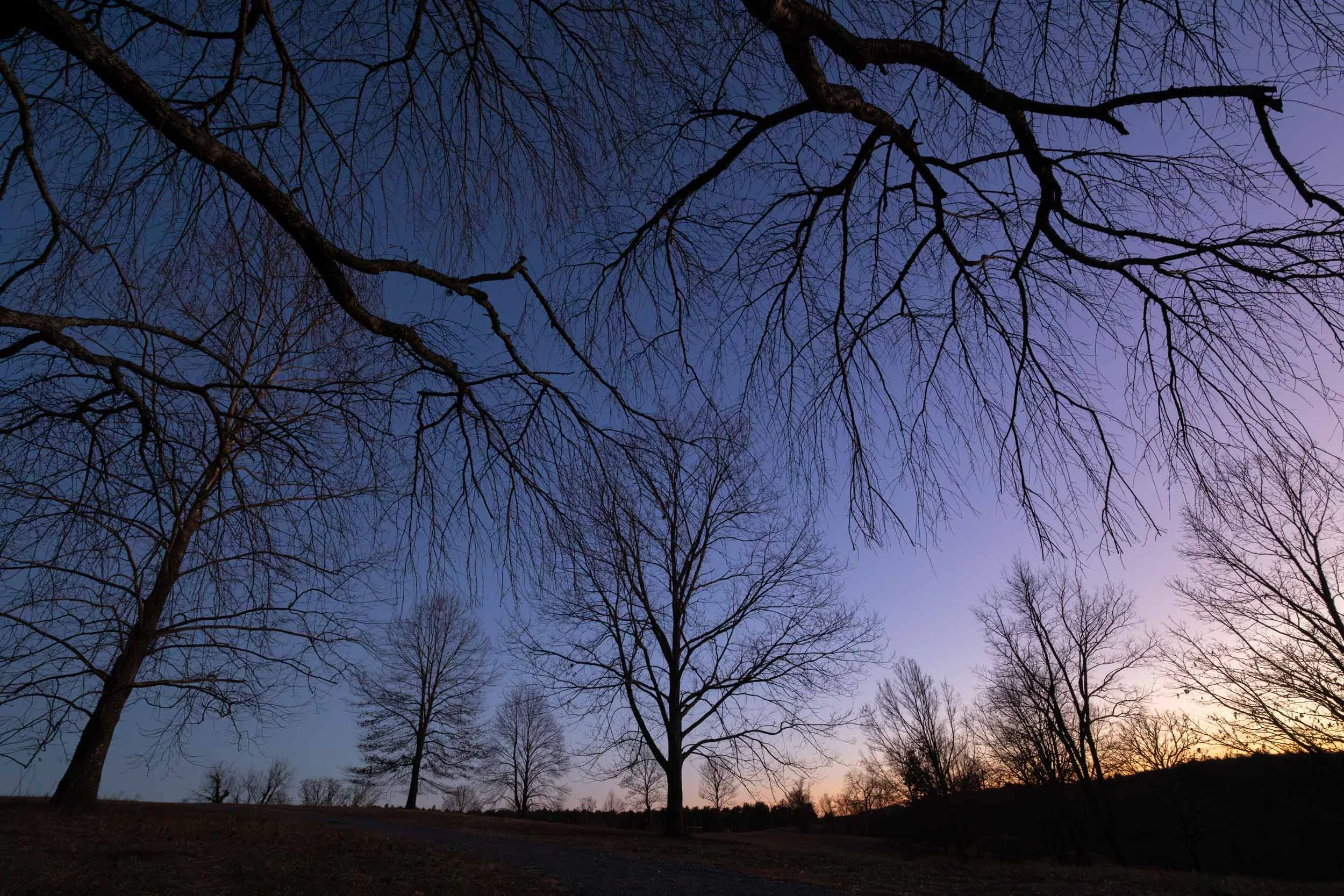 Biltmore Winter Sunset