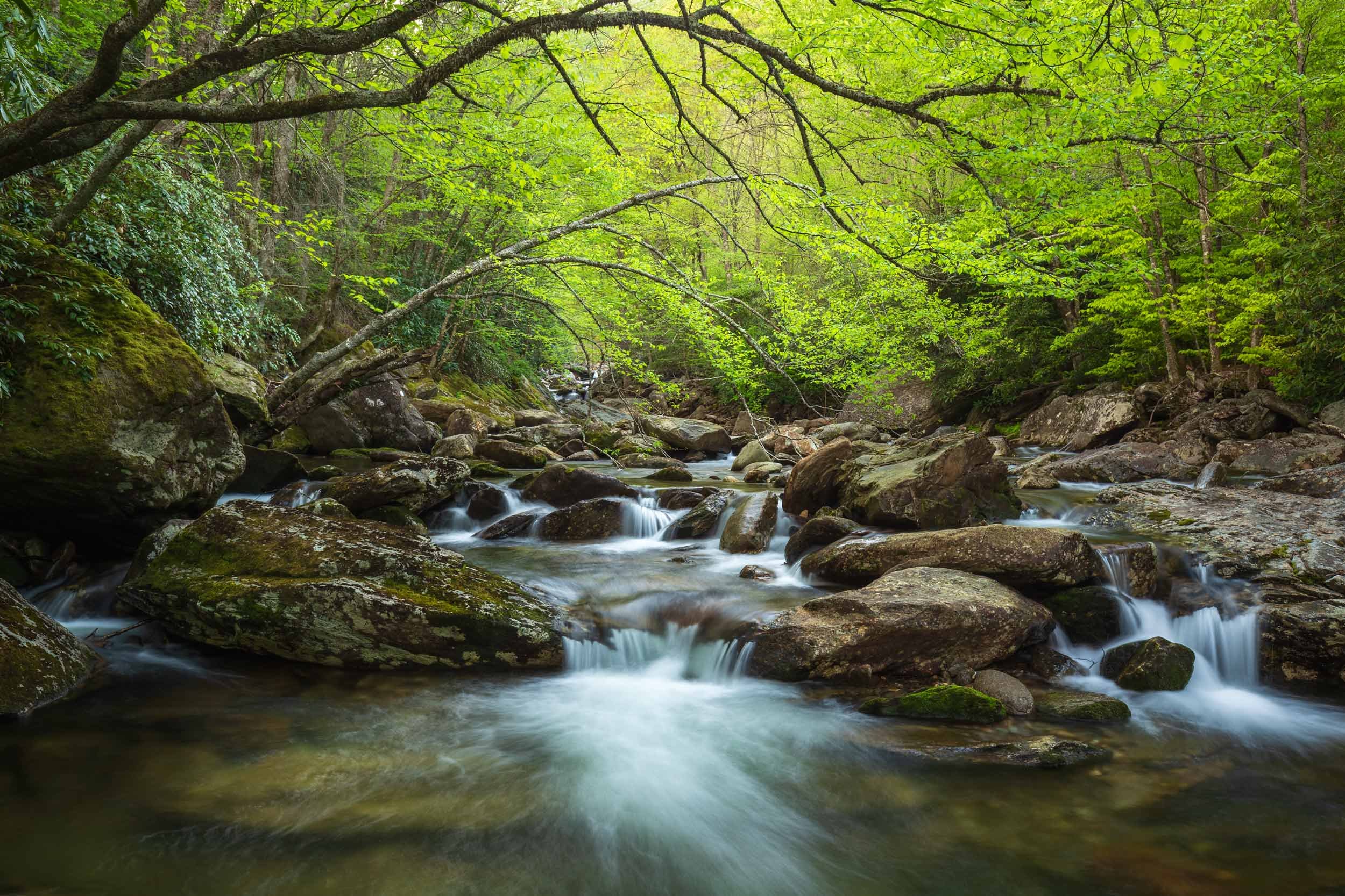 Spring Cascade Pool, West Fork Pigeon River N.C.