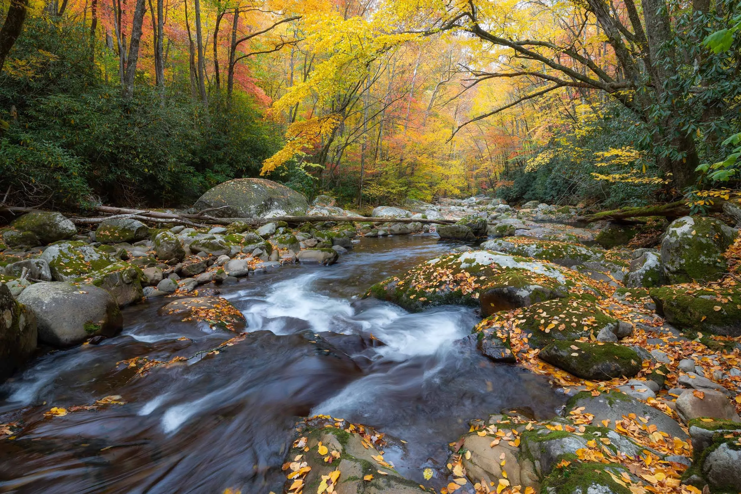The Heart of Fall at Big Creek