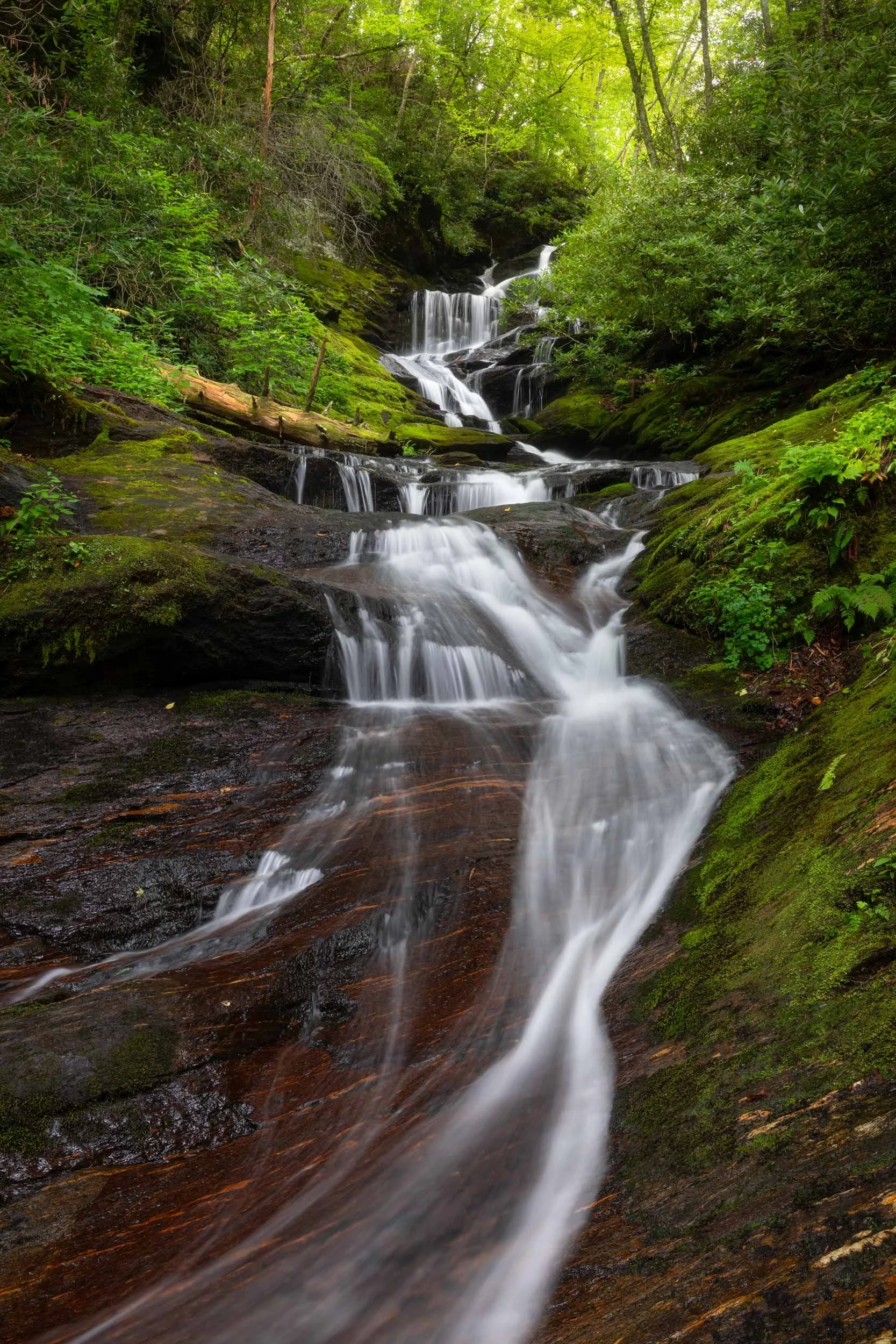 Roaring Fork Falls N.C.