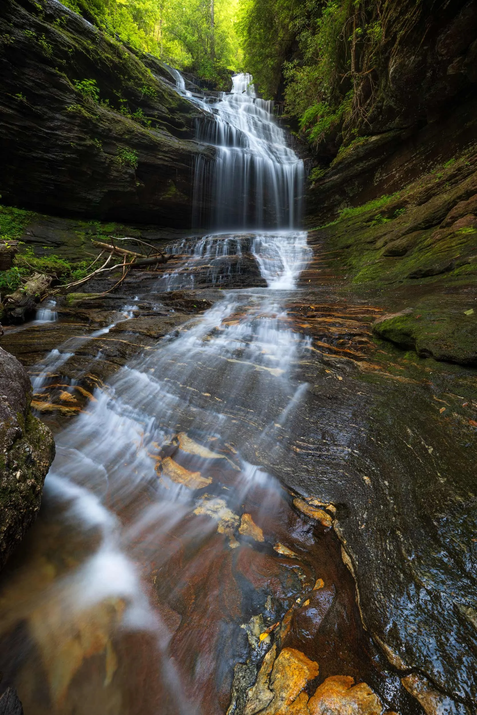 Elmo Falls N.C.