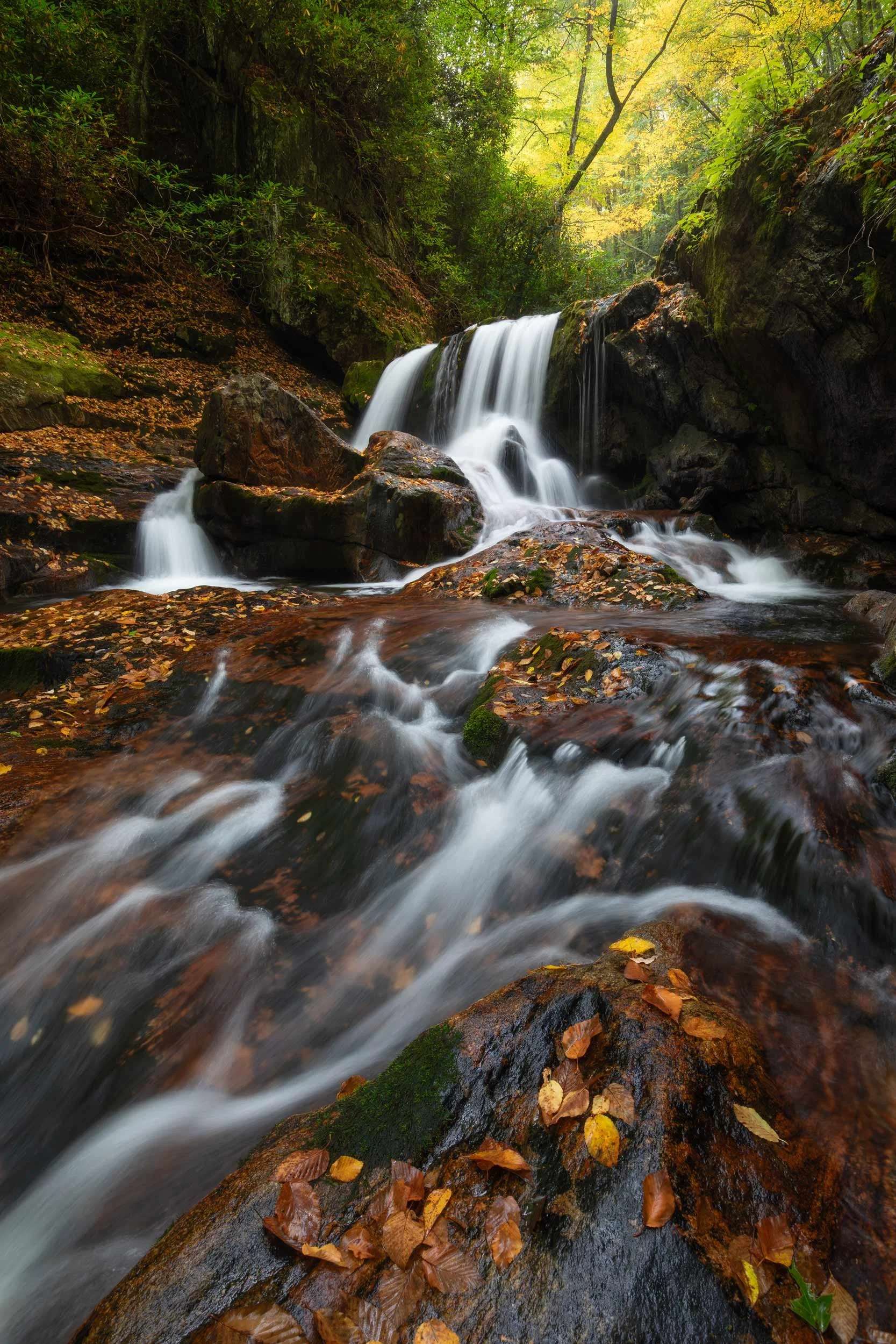 Autumn Portrait at Middle Prong Falls N.C.