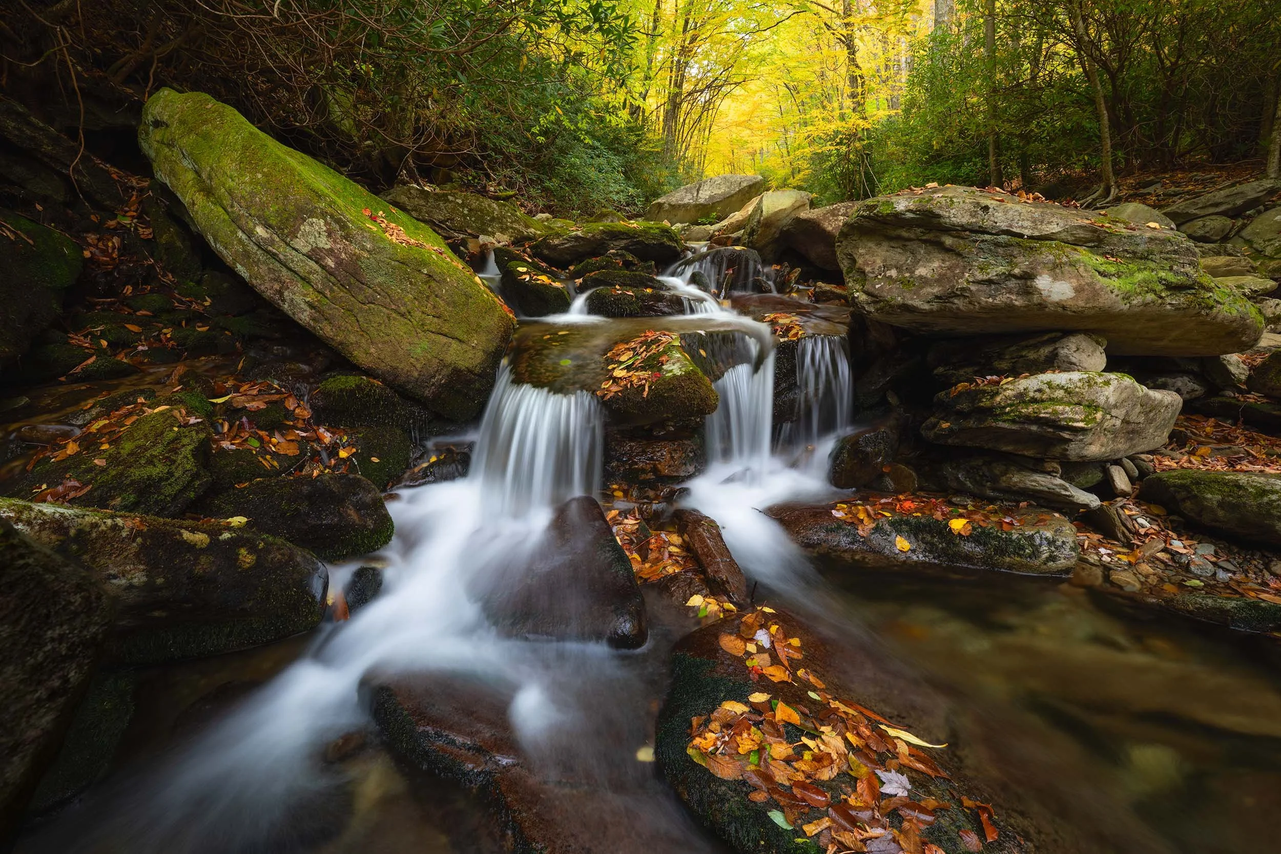 Boone Fork Creek at Grandfather Mountain NC