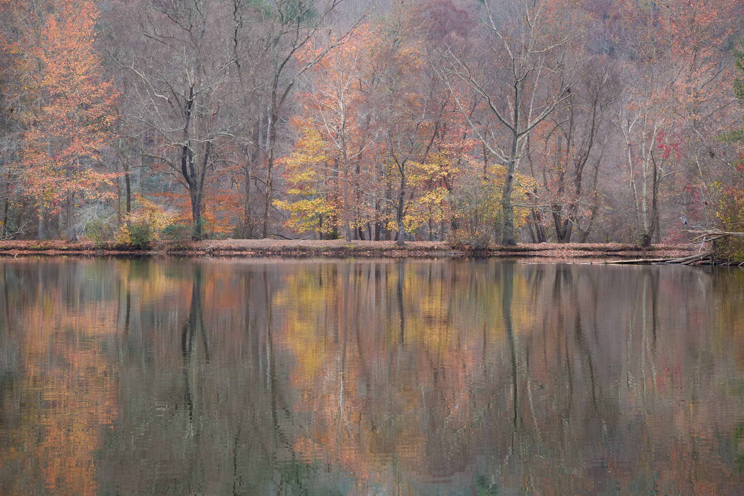 Late Fall Reflection at the Lagoon