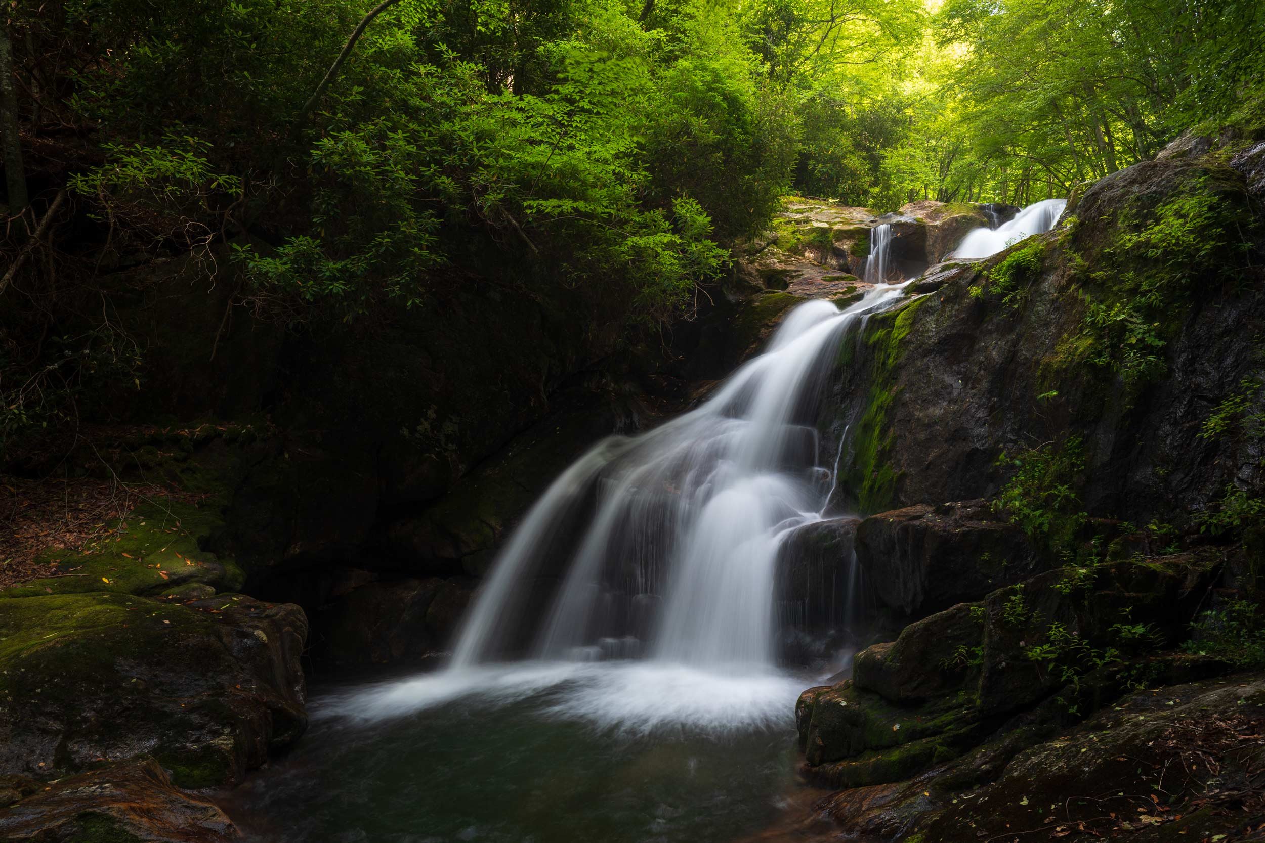 Upper Middle Prong Falls Pool
