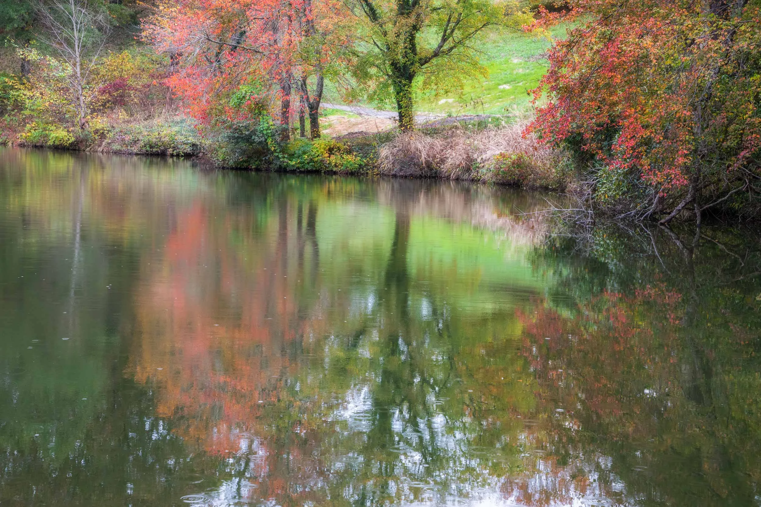 Bass Pond Fall Reflection