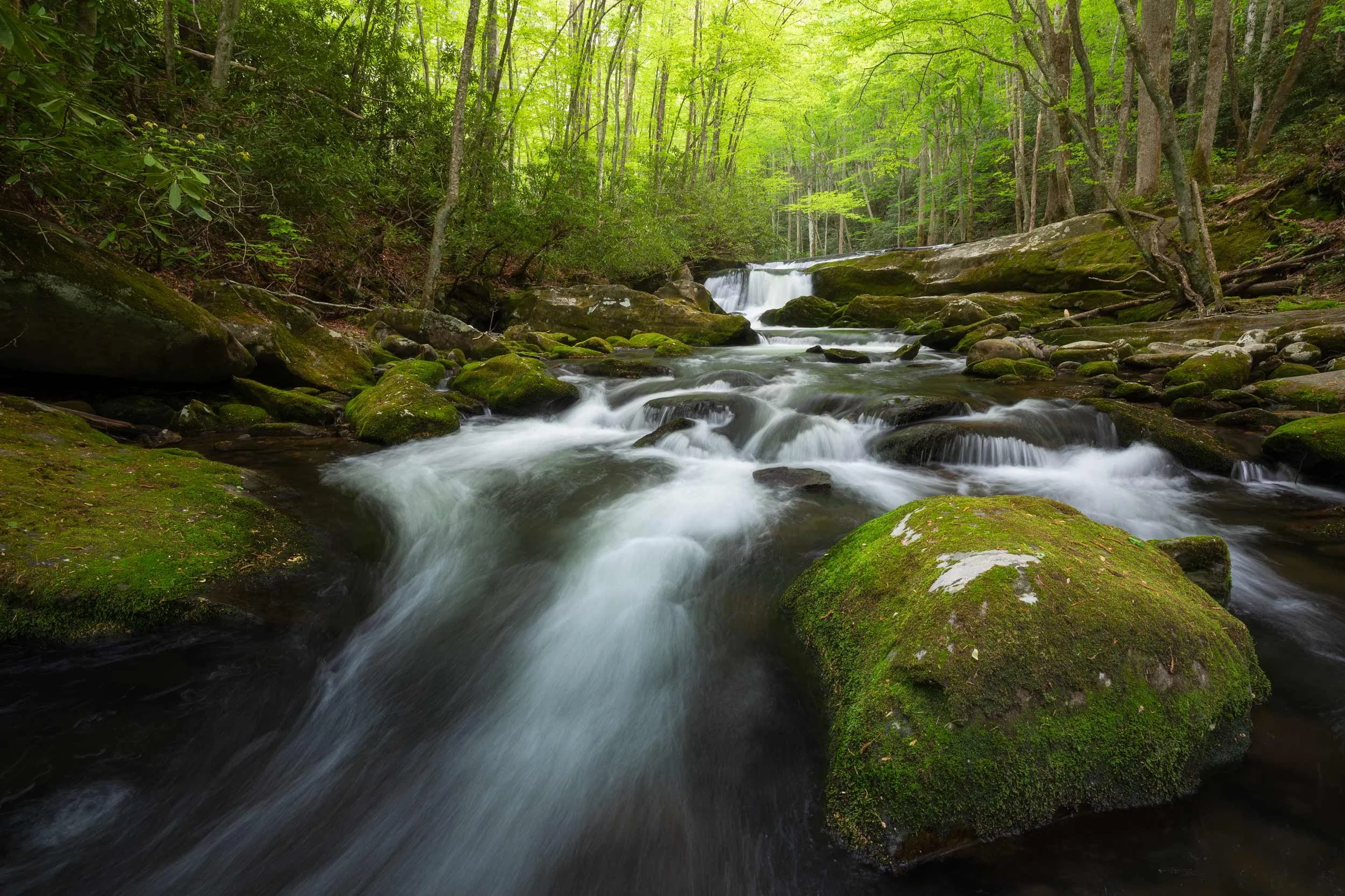 Lynn Camp Prong Cascades, GSMNP T.N.