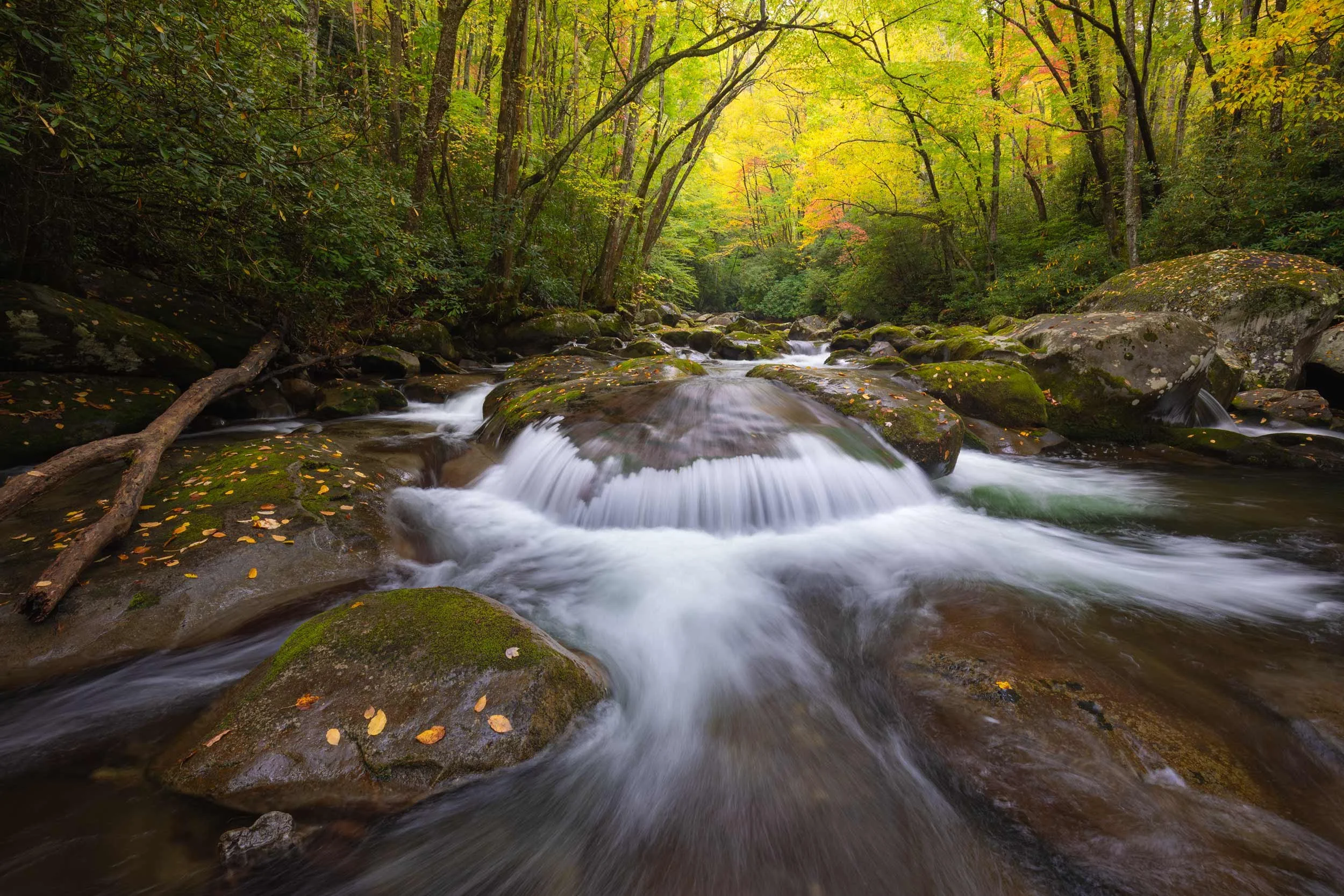 Autumn at the Grand-Daddy Cascade, Big Creek, GSMNP