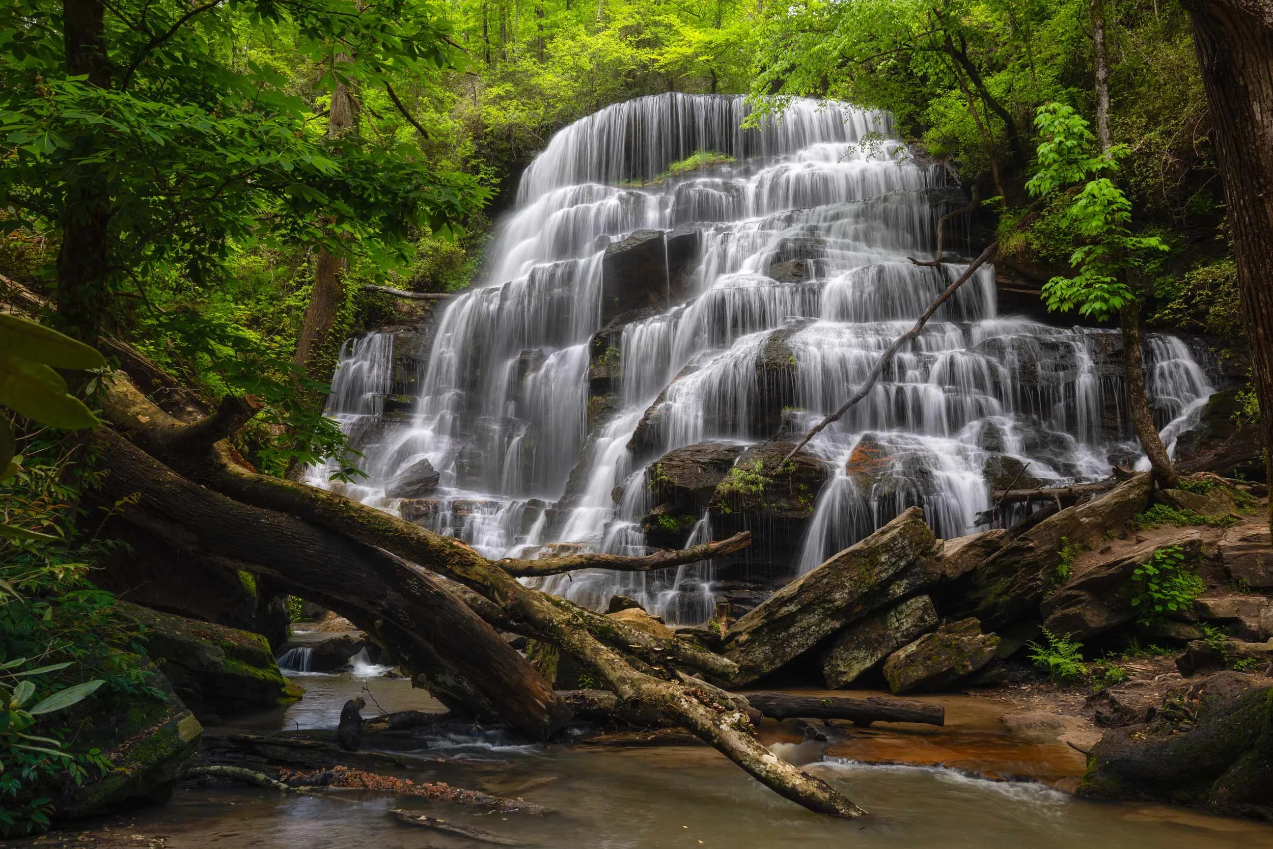 Yellow Branch Falls S.C.