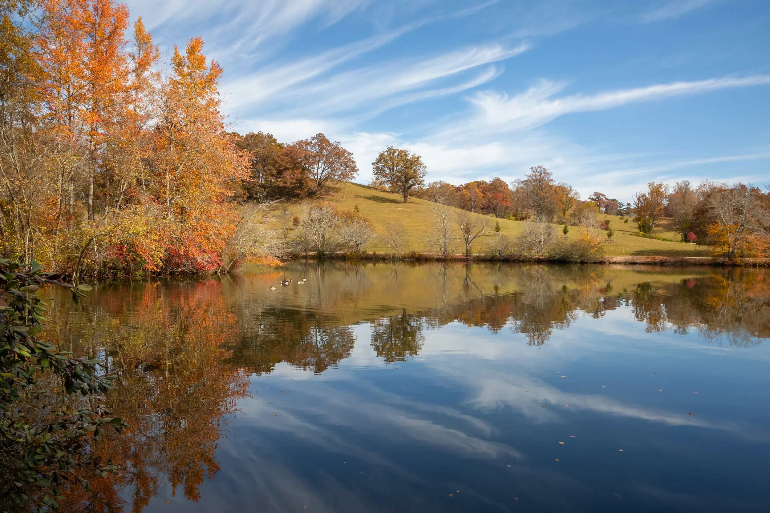 Fall Cirrus Cloud Sky at the Lagoon