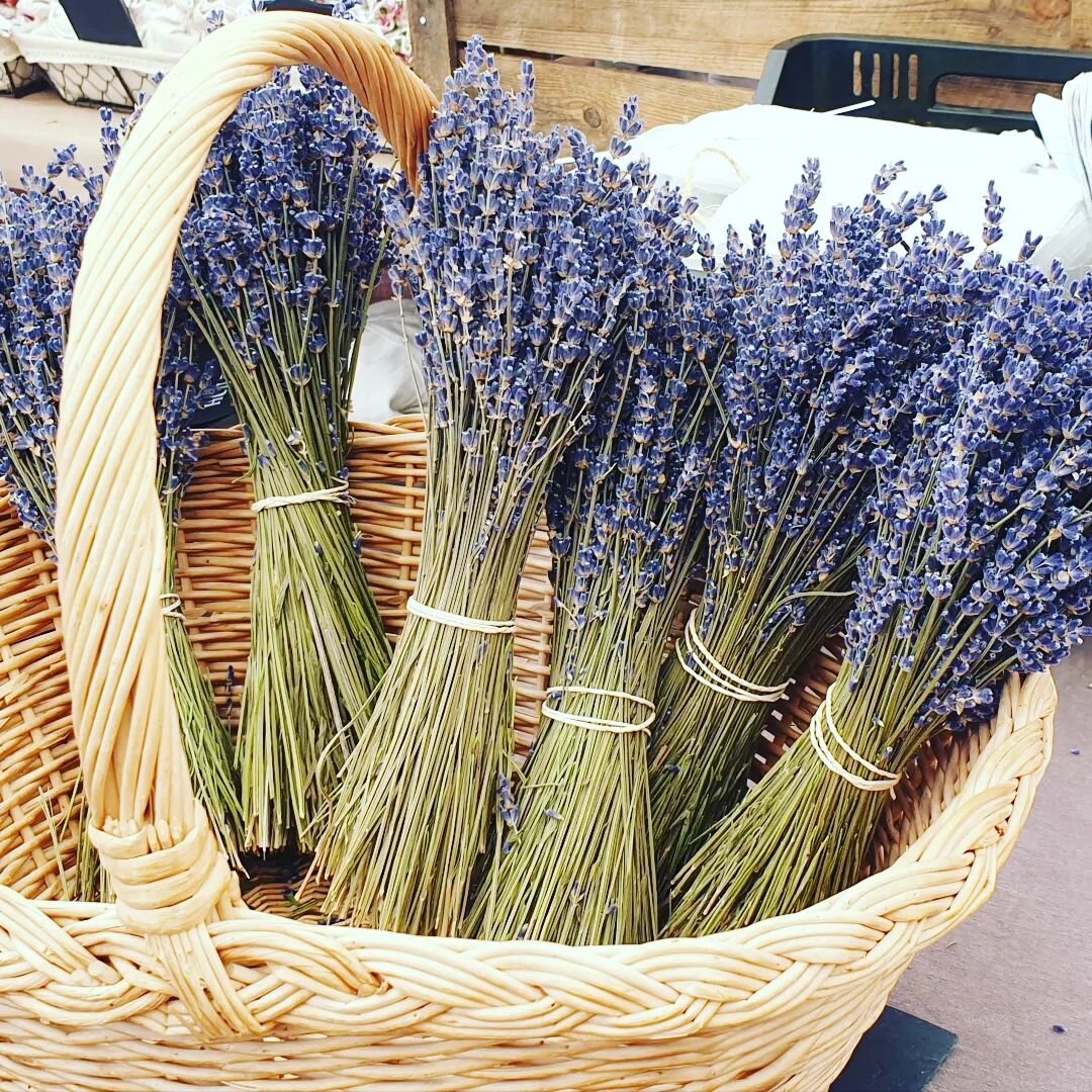Beautiful city of Aix-en-Provence... a great place to explore wonderful markets, eateries, local fare and artisan products..... and to see the Cirque du Soleil... what a treat 

#healthanddining #aixenprovence #lavendar #localmarkets #nutritionforhea