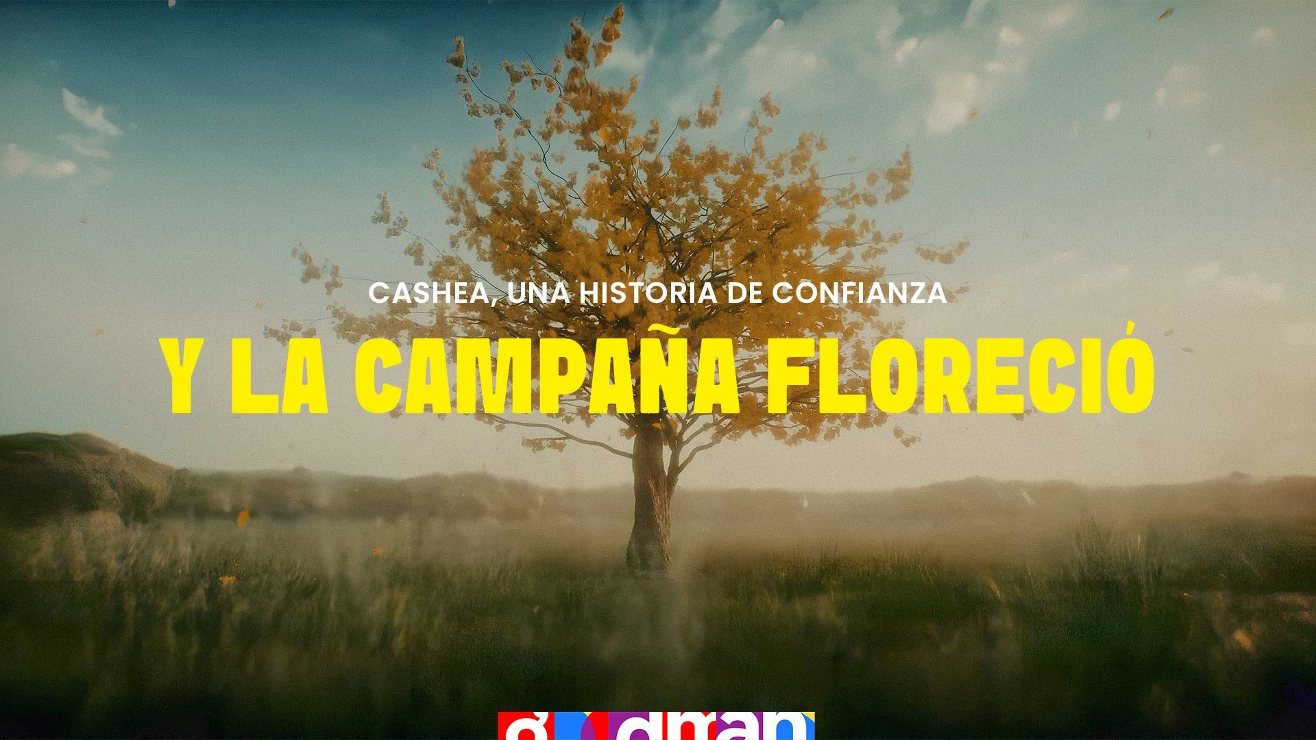 Y la campaña floreció