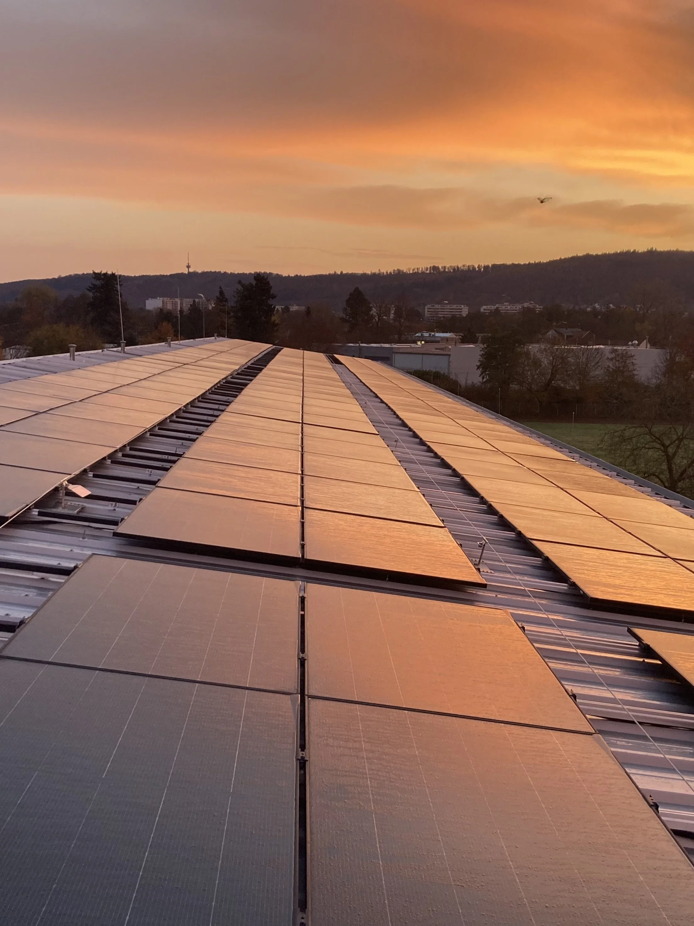 NOVEMBER 2025 - With the completion of the roof renovation, the Pestalozzi School’s solar power system is connected to the Ettlingen municipal utility grid