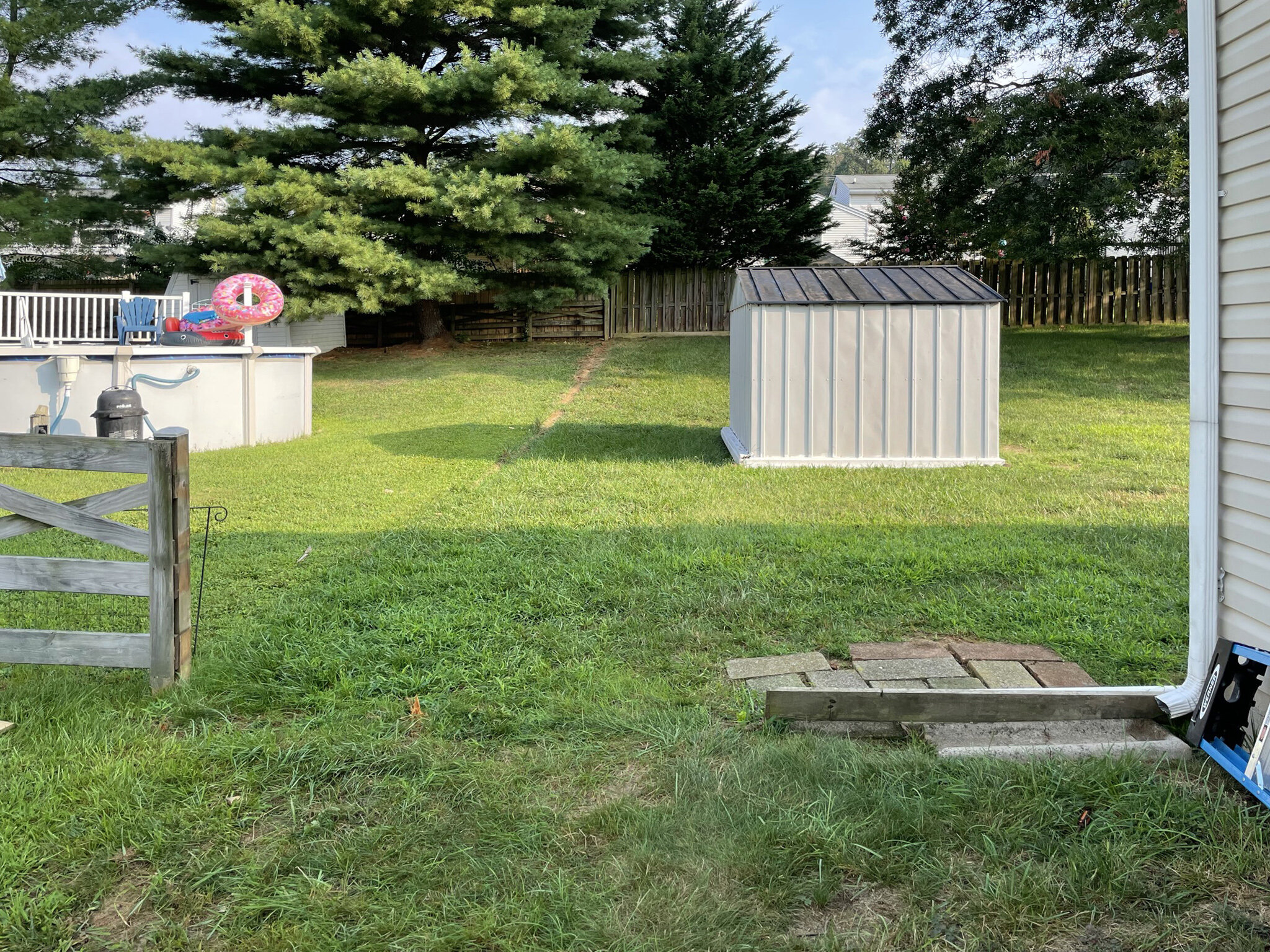 Backyard with green grass, large tree, wooden fence, and small shed. There are colorful pool toys on above-ground pool and a blue lounge chair nearby.