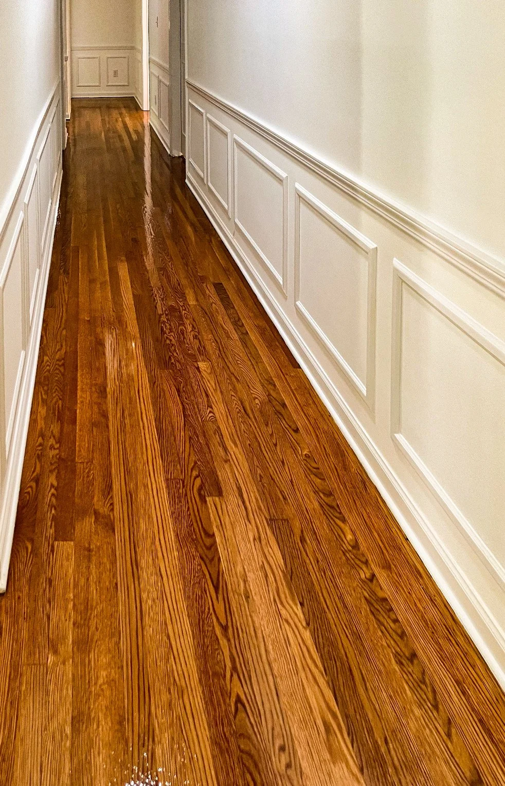 Refinished hardwood floor in a hallway with white wainscoting and cream-colored walls.