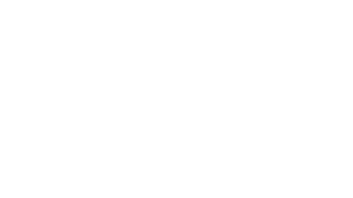 Bryan Aleman Smoky Mountain wedding photographer. Best photographer in Knoxville, Pigeon Forge, Gatlinburg, Sevierville. 