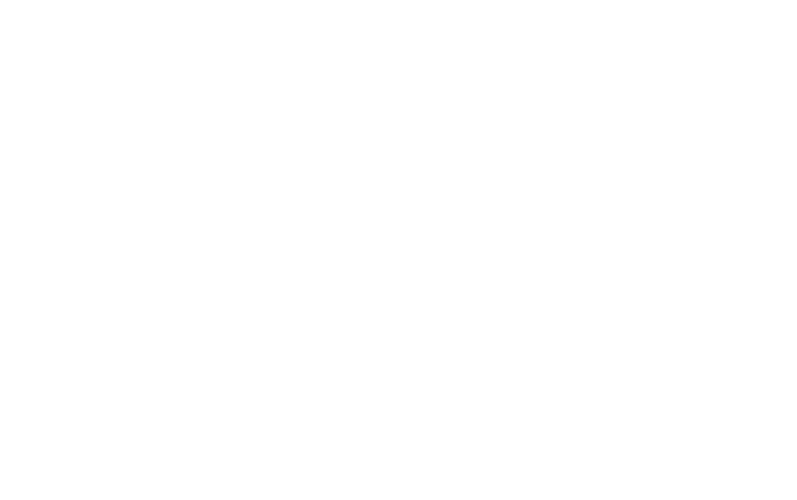 Rebel Tours Vienna
