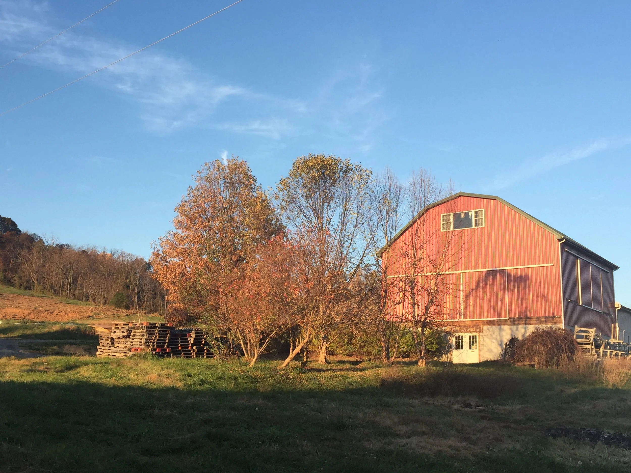 5. Barn Nov 2015.JPG