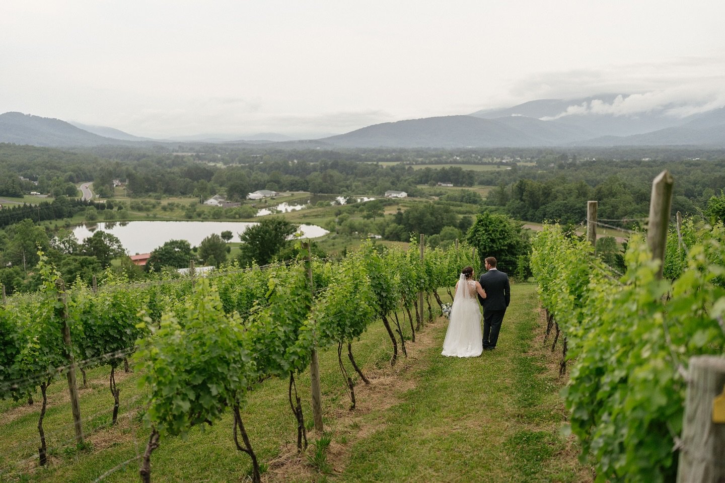 Such a beautiful capture from @typhenweddings! 💫

Here at Valley Road, we have the perfect space for your special day! Visit the link in our bio to learn more and book.

#weddings #VAwine #Monticellowinetrail #Nelson151 #Nelson151wedding