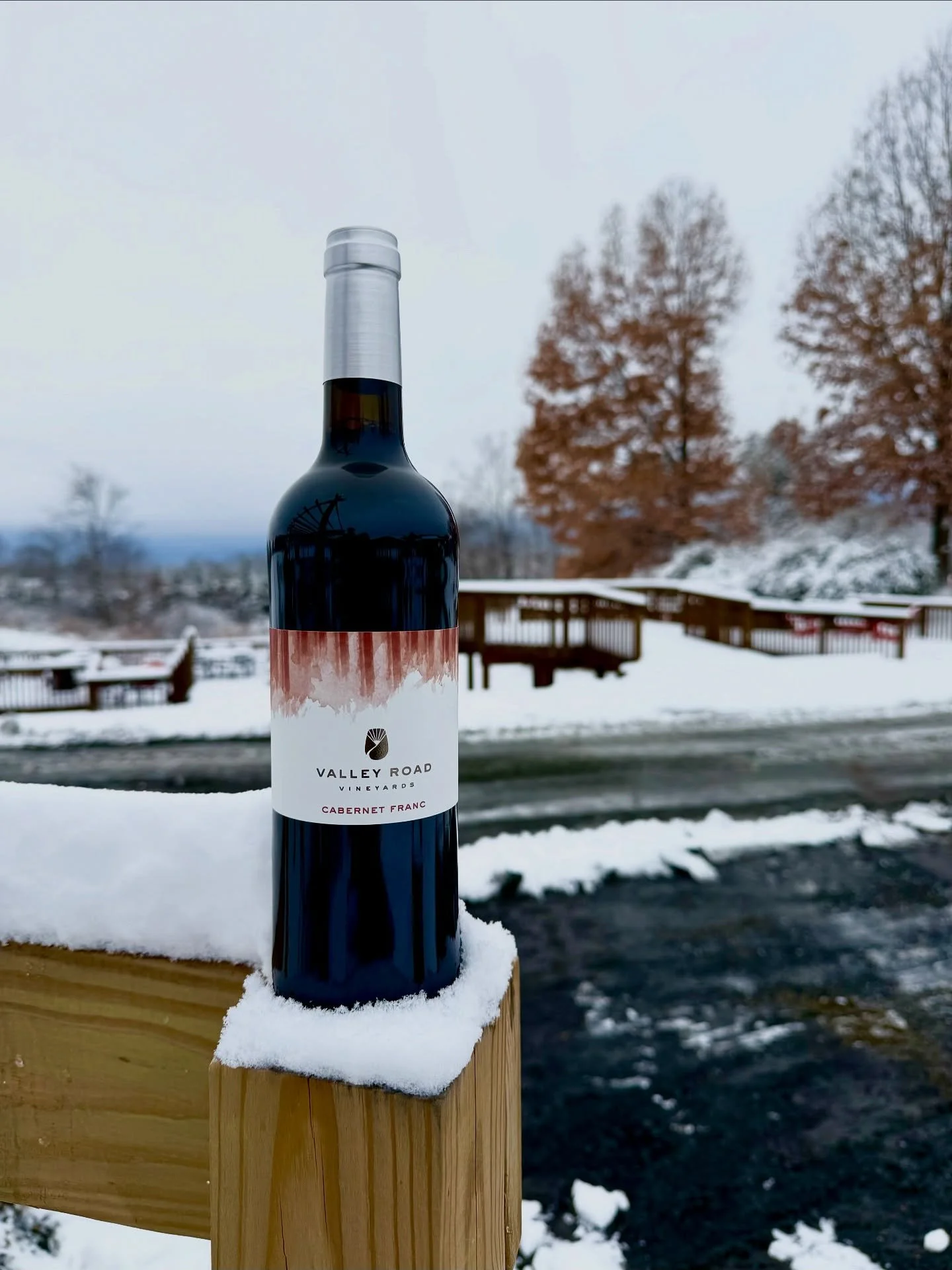 Winter at the vineyard has arrived. ❄️ Valley Road is open today, and the Blue Ridge backdrop is more beautiful than ever. Come enjoy the views in our cozy tasting room! 🍷 

#monticellowinetrail #vawine #nelson151