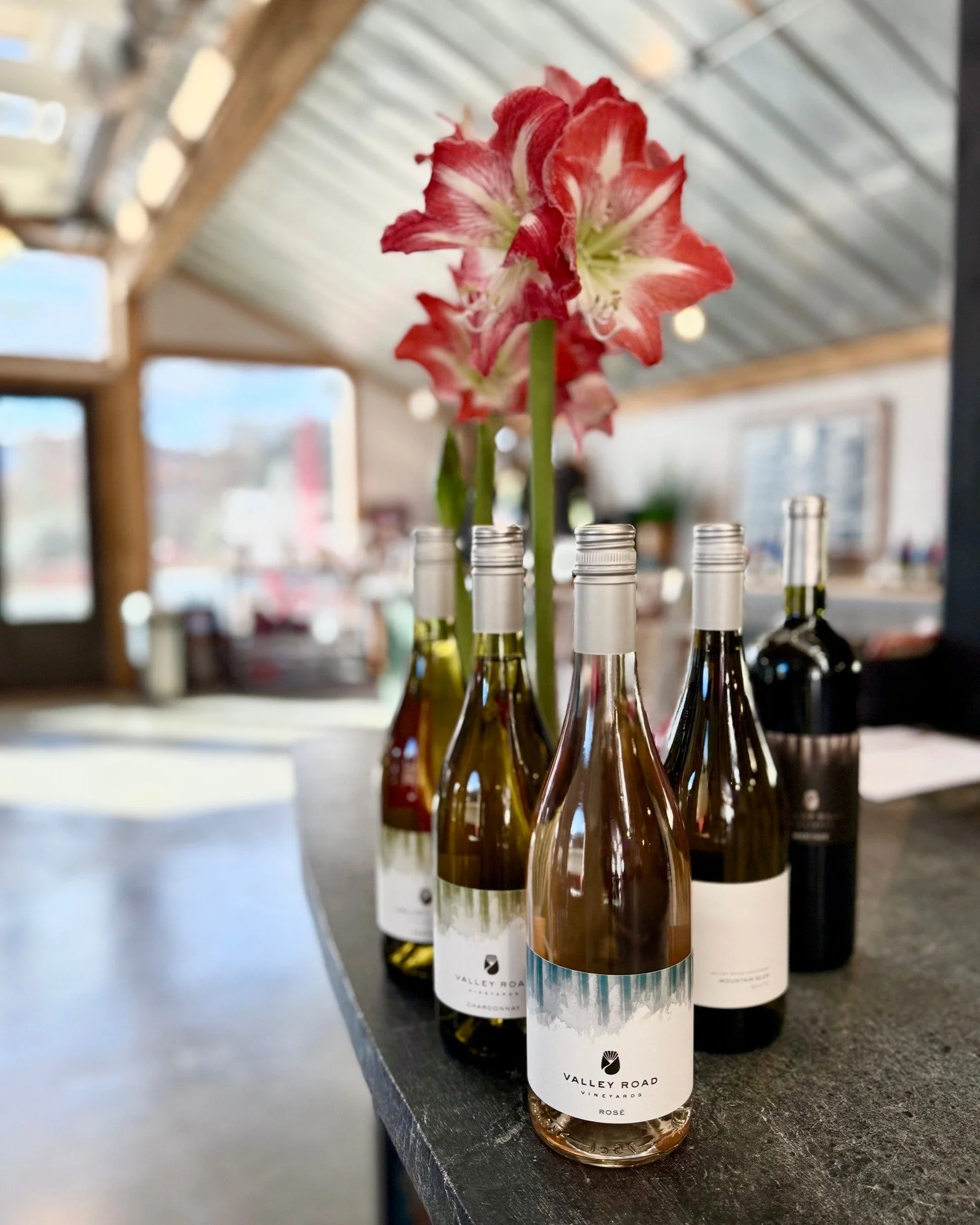 🍷We have an amazing offer this month that's *exclusively* for our Wine Club members! Through February, mix and match 12 of any of the following:
- Destana
- Mountain Glen White
- 2024 Rose
- Meritage
- Chardonnay
to get them for only $99!

Plan your