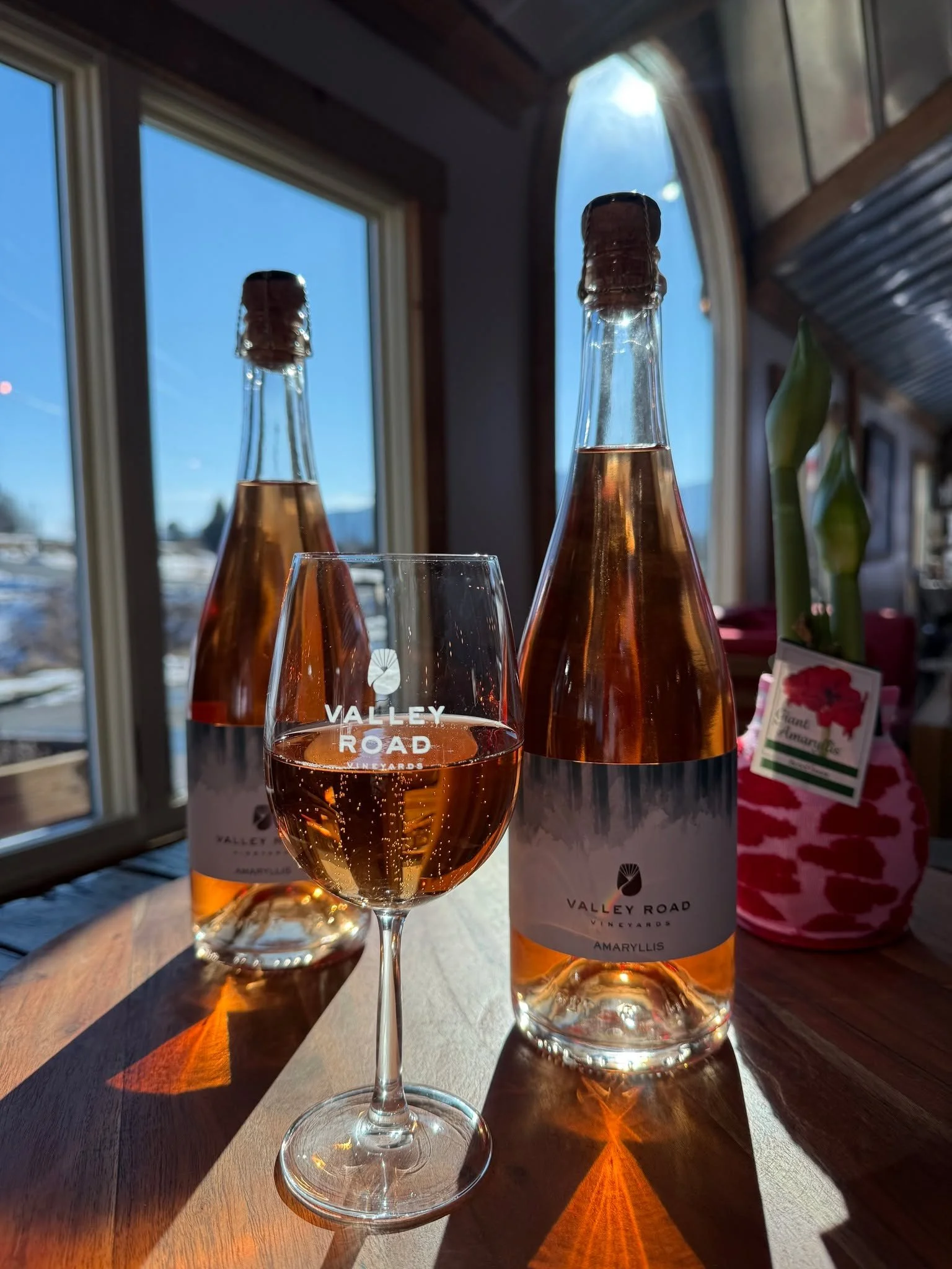 Have you tried our newest wine yet? Amaryllis, our new sparkling rose, is the perfect wine to sip on as we head into March and (hopefully) spring temperatures! ✨

Plan your visit and shop on valleyroadwines.com!

 #nelson151 #monticellowinetrail #VAw