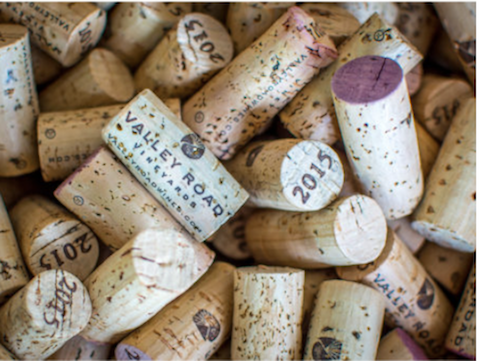 Live Music with Jim Pyles and Caitlin Thompson