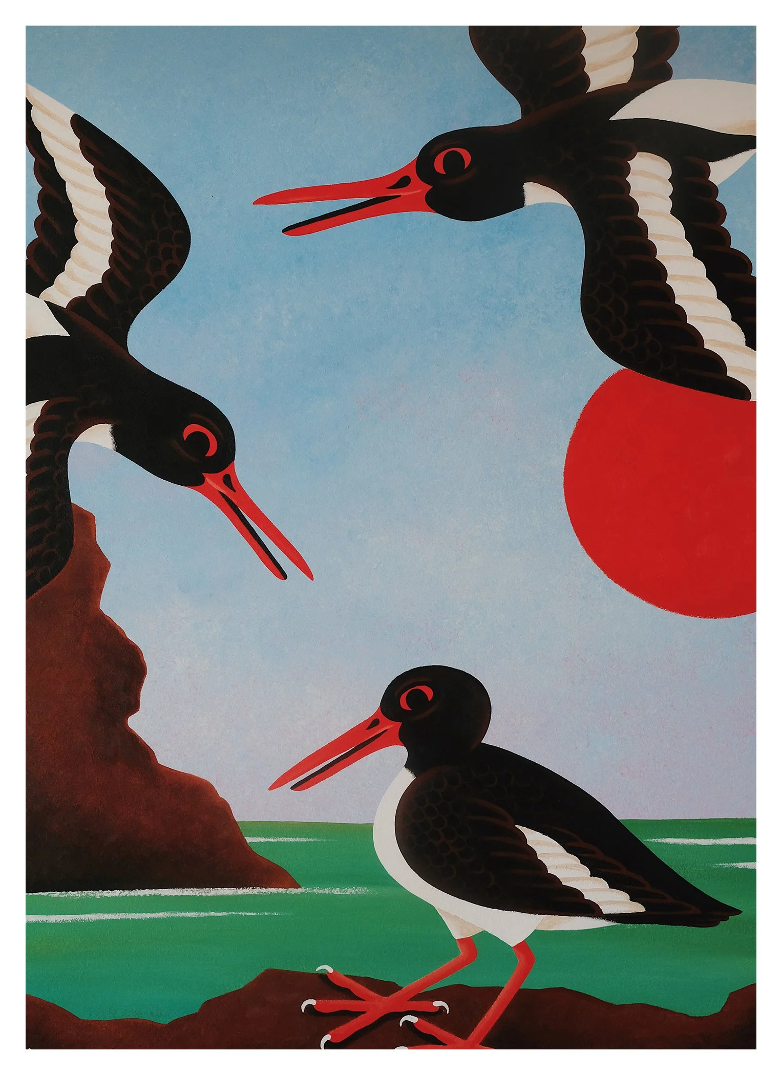 small BIRDS OF THE ATLANTIC OYSTERCATCHERS.jpg