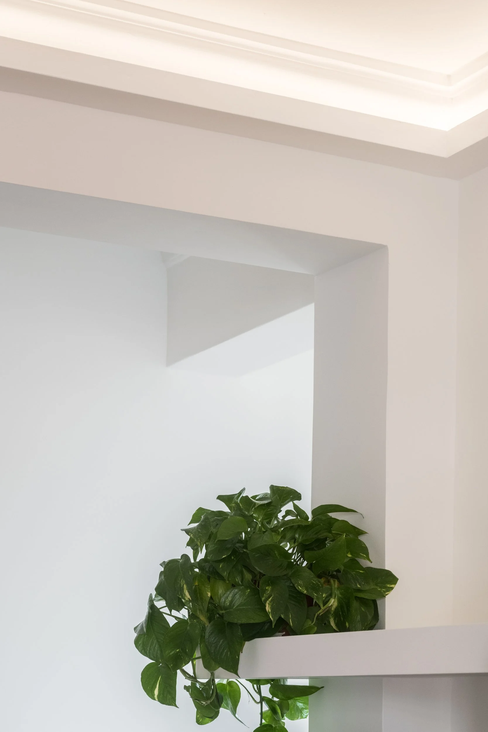 Dettaglio di pareti bianche e volumi architettonici con gola luminosa e cornice a soffitto in un appartamento contemporaneo a Palermo