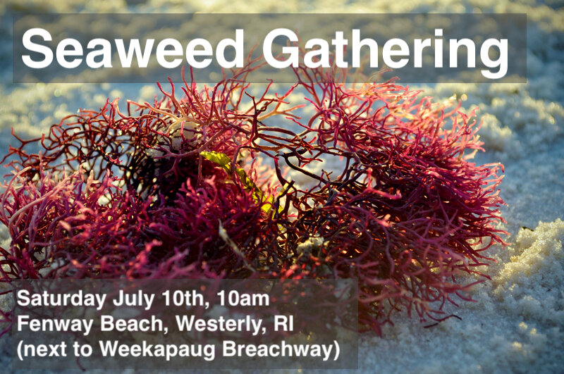 Photo 29833585 © Sean Murray | Dreamstime.com