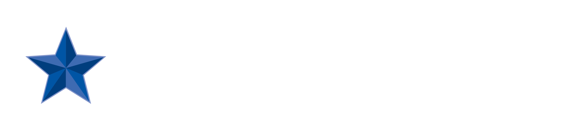 BLUESTAR_MNGMNT_LOGOS.png