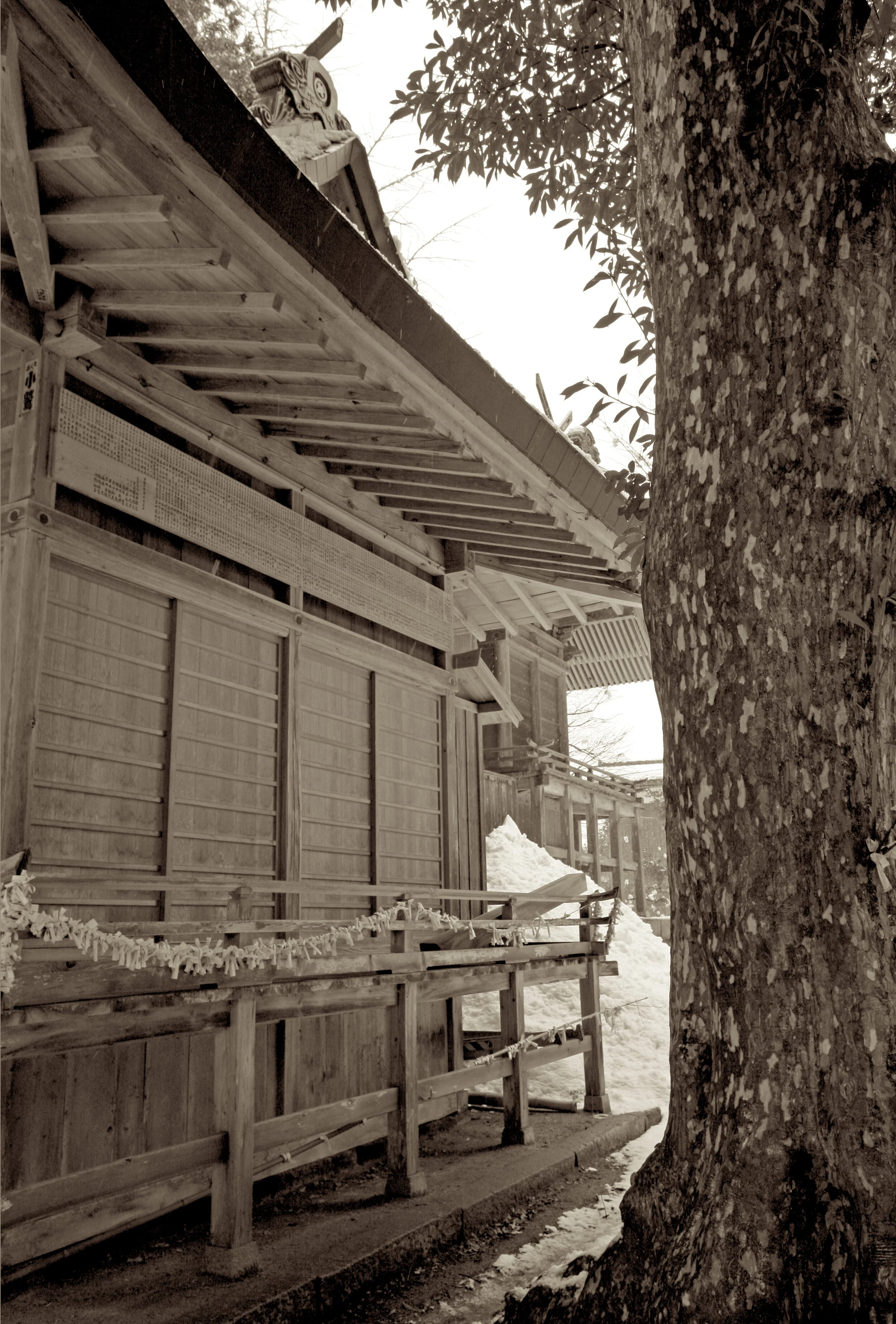 MIsasa_2012-9717.JPG