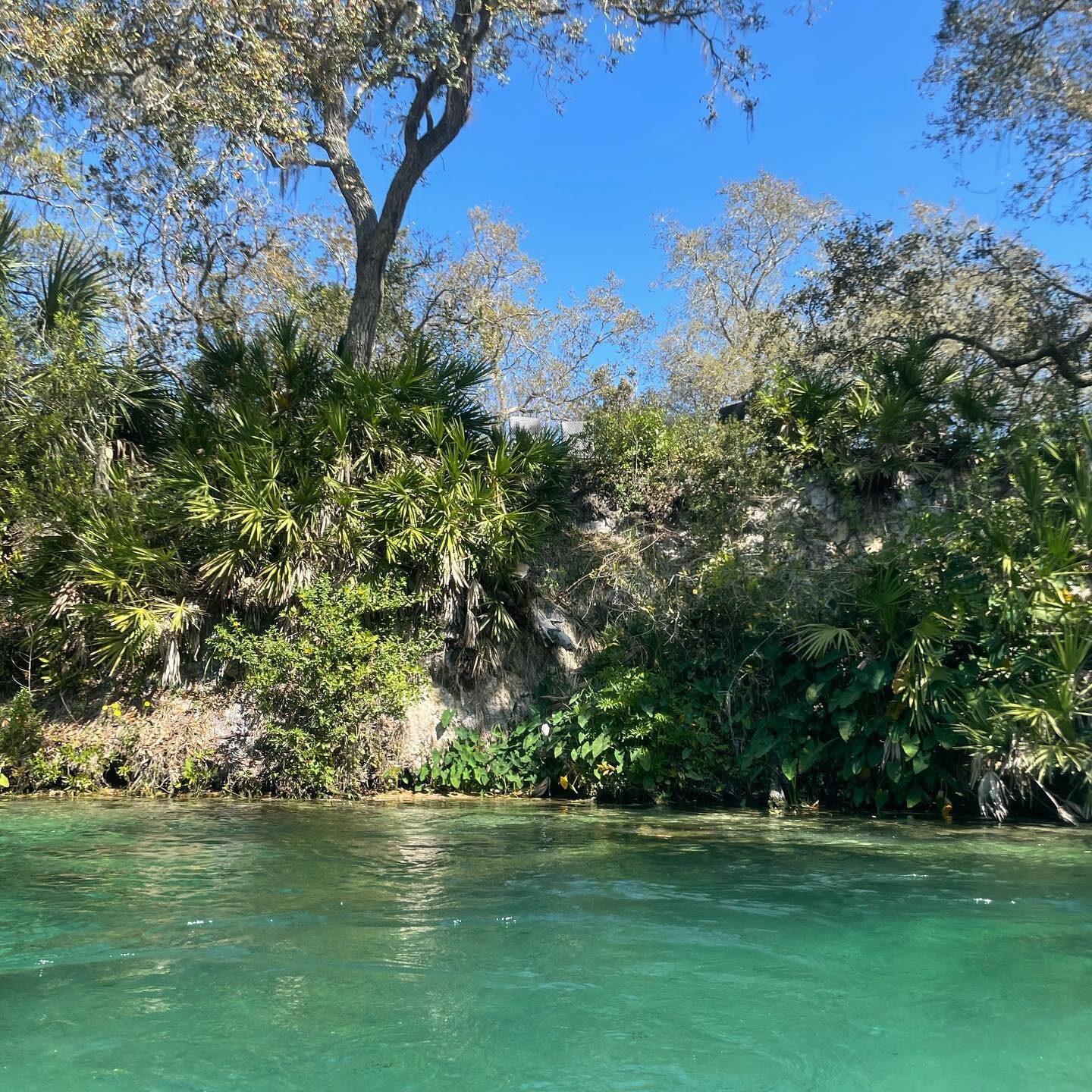 Sunday funday at my happy place. Perfect weather. Needed to unwind badly and it did the trick. Am I ready to tackle Monday? No. 😂 #floridalife #weekiwachee #paddleboarding #authorlife