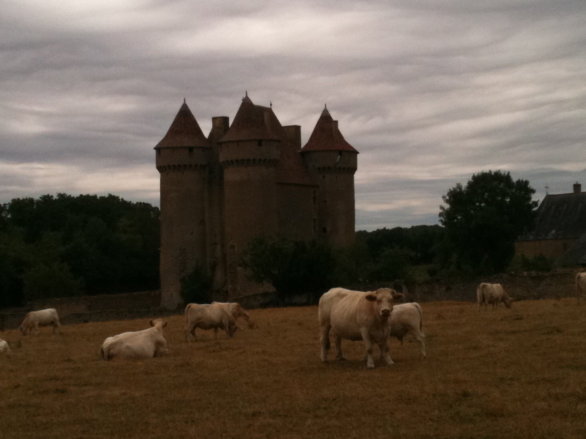 Sarzay, France.jpeg