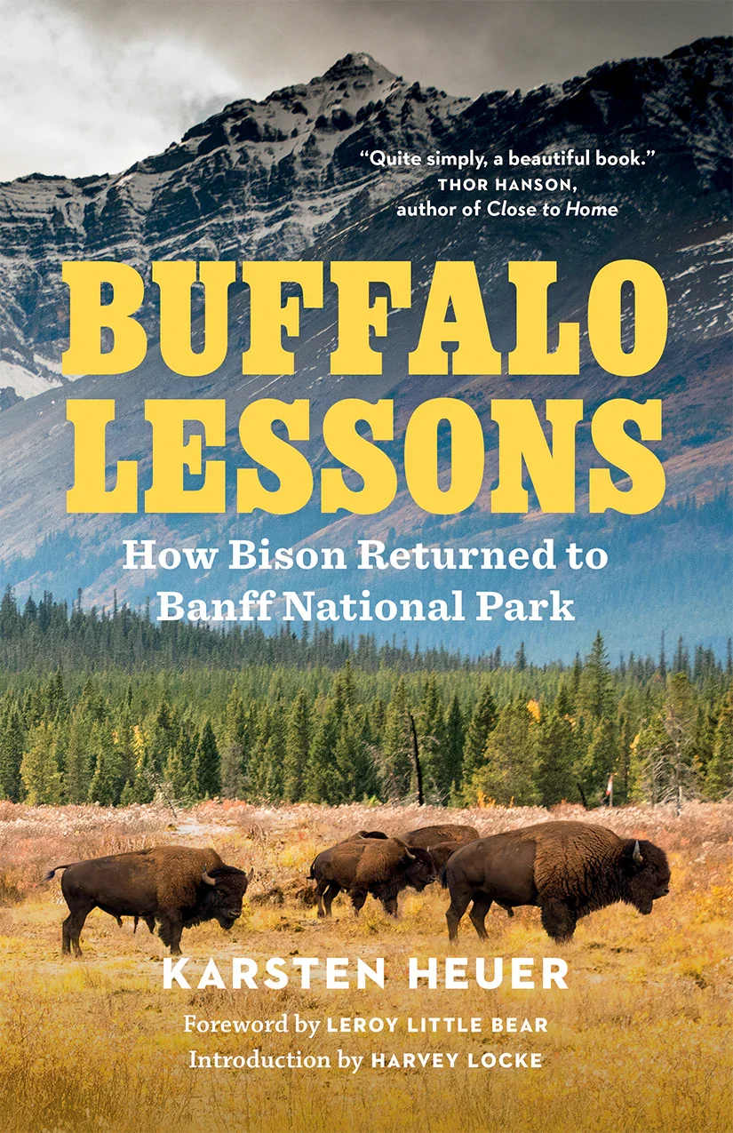 BuffaloLessons_cover_RGB150dpi.webp