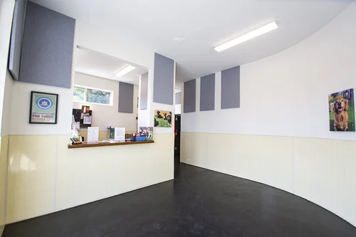 paw_pals_brentwood_lobby-1_copy.jpg
