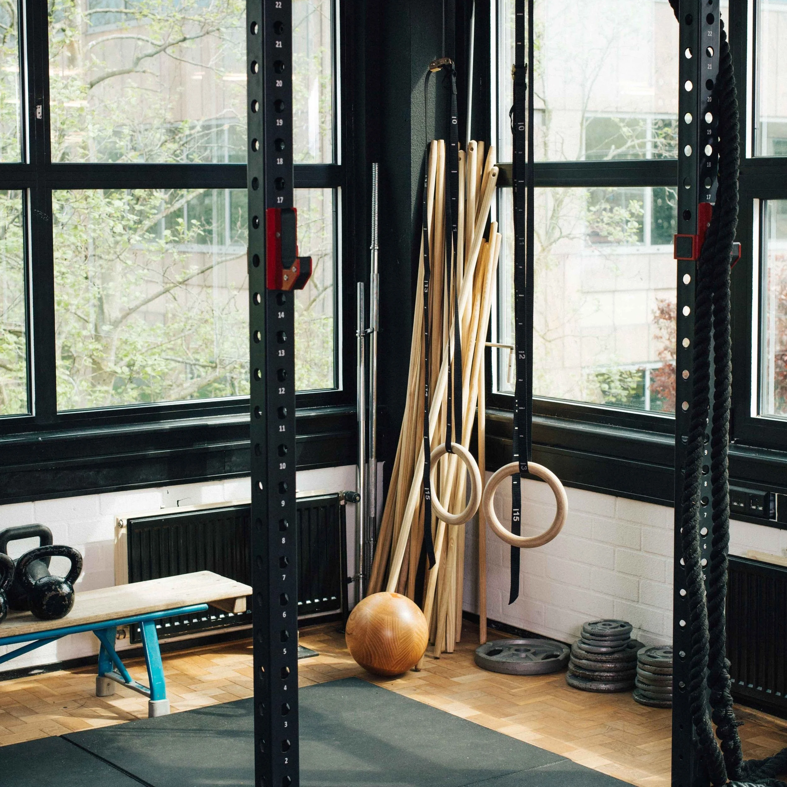 Corner of a gym with workout equipment including gymnastic rings, wooden sticks, a medicine ball, kettlebells, weight plates, and a bench, near large windows with a view of trees outside.