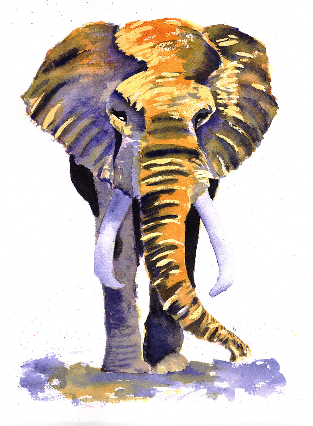 Watercolour elephant