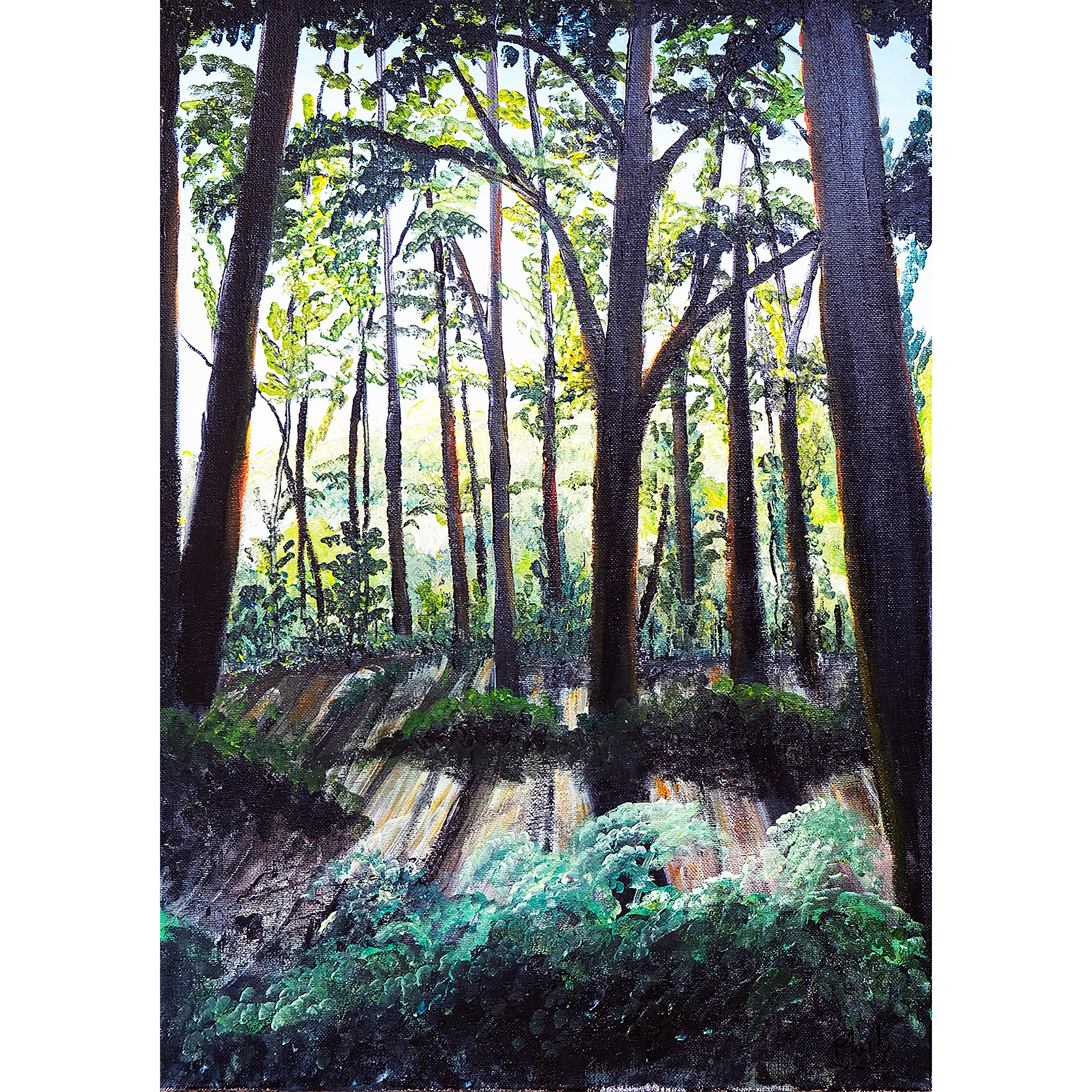 Through the Glades (2)