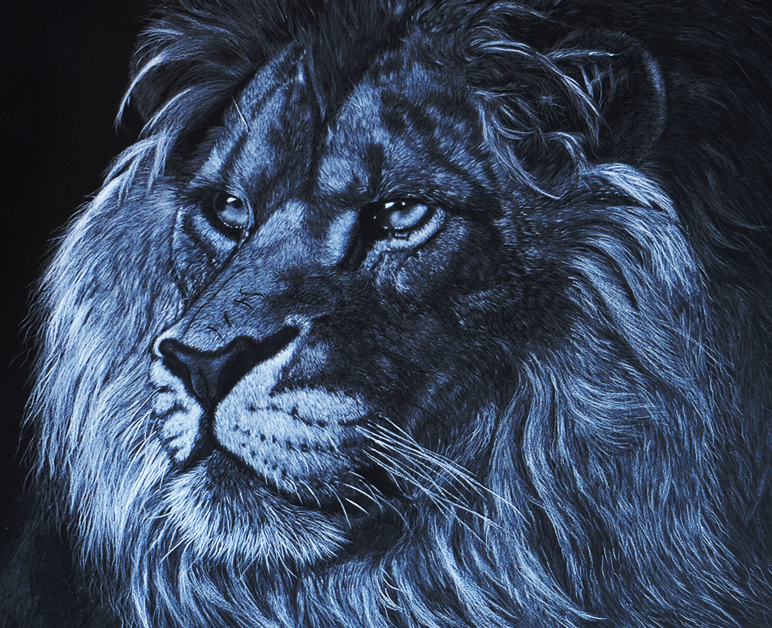A Lions Gaze Jacqui close up.png