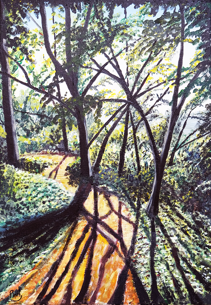 Thropugh the glades 1 Phil edit for we