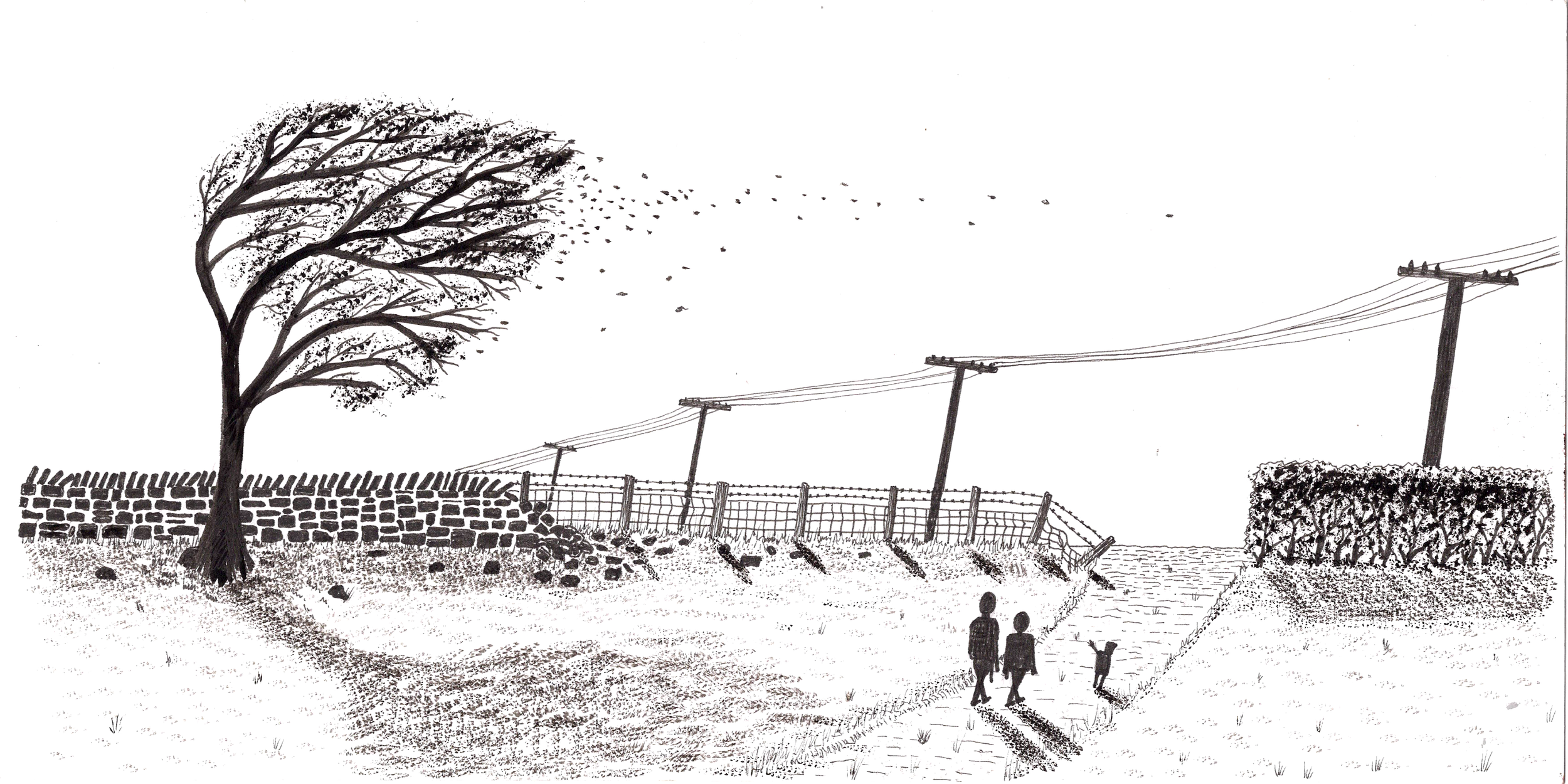 S M - A windswept walk for web.png