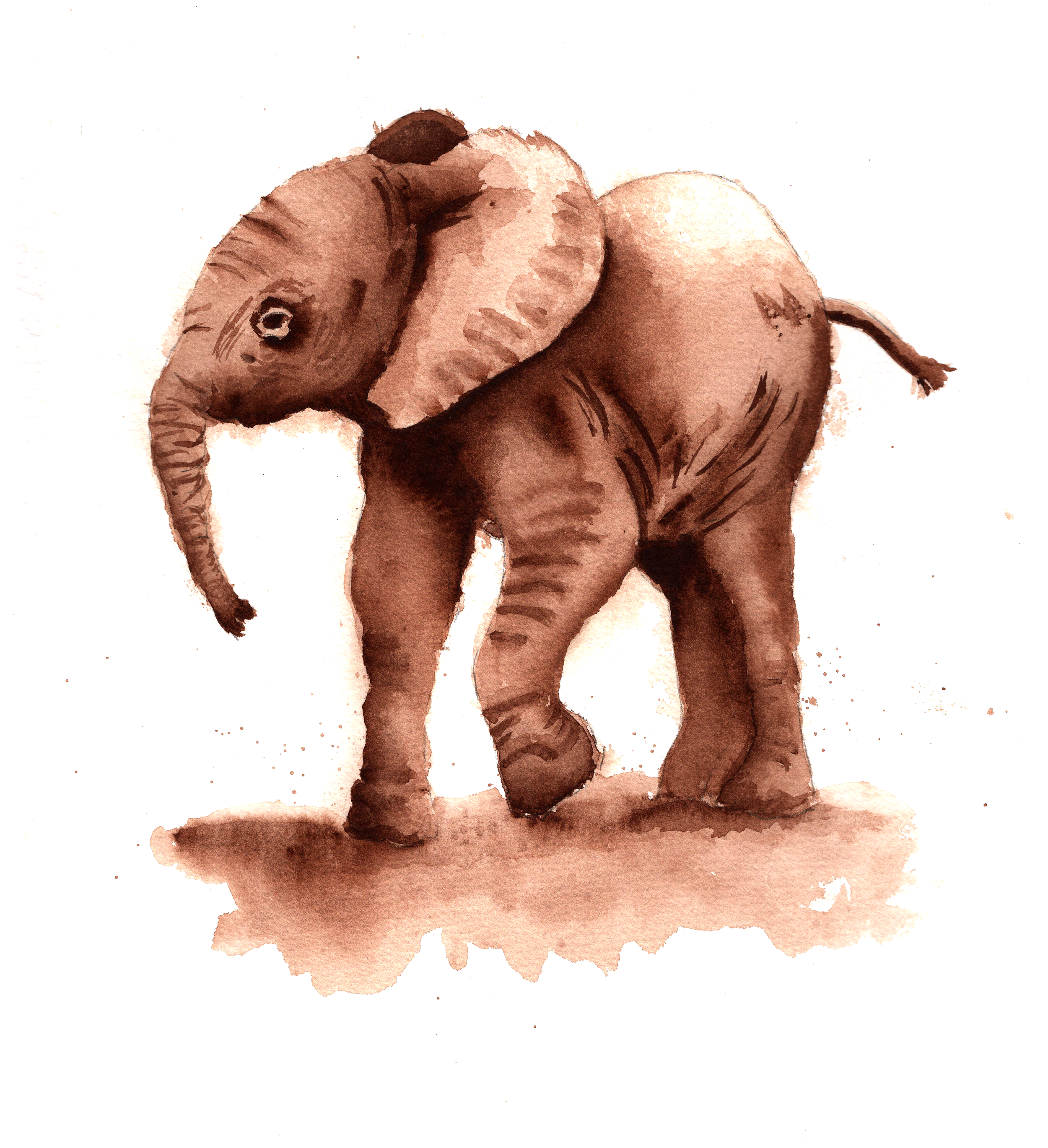 Jacqui Baby elephant website.png
