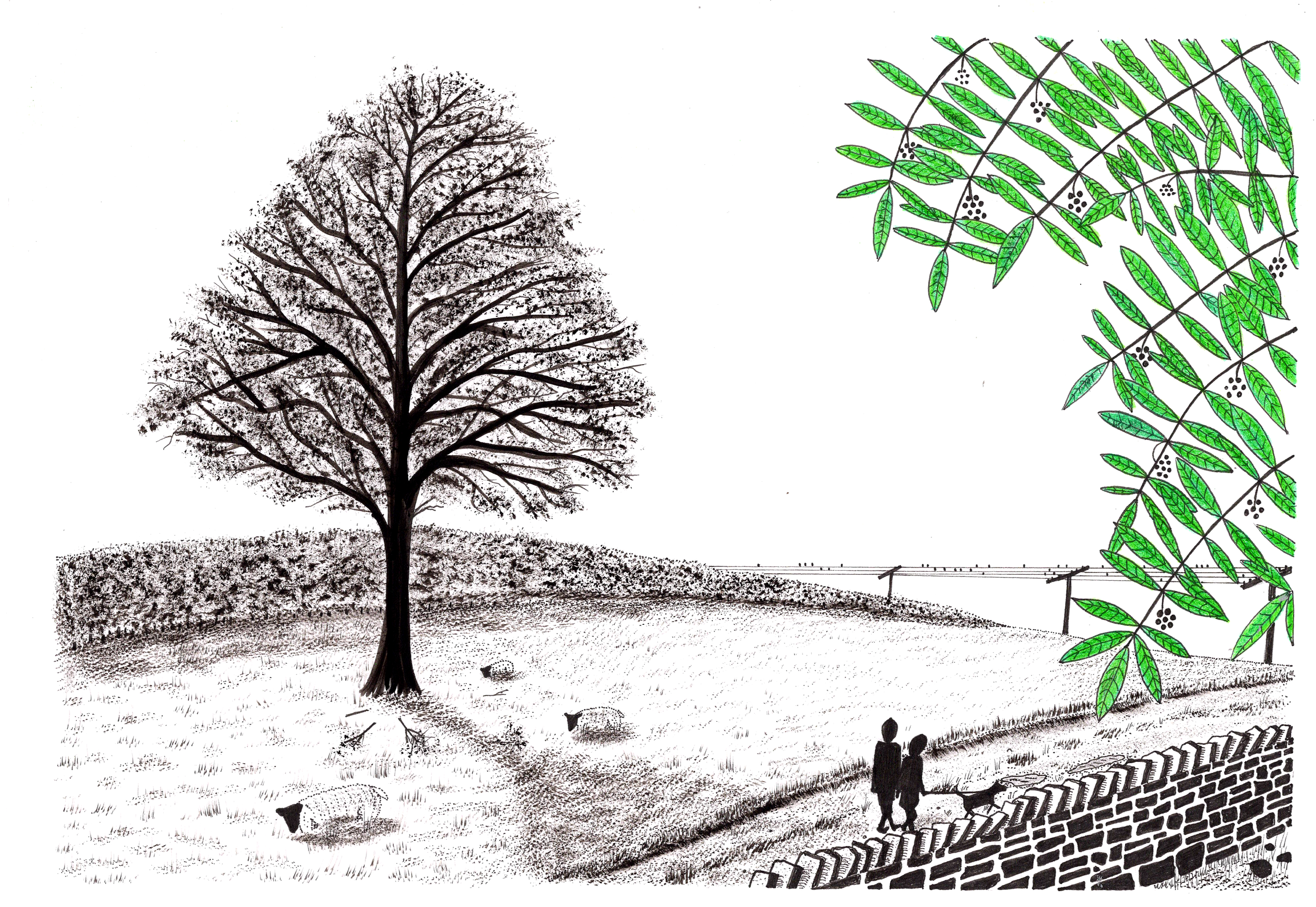 S M - Autumn walk 1.png